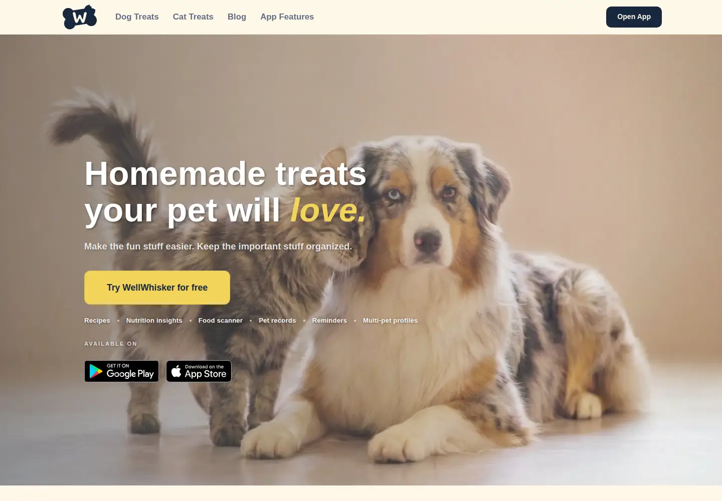 Captured homepage of wellwhisker.app in the current scan