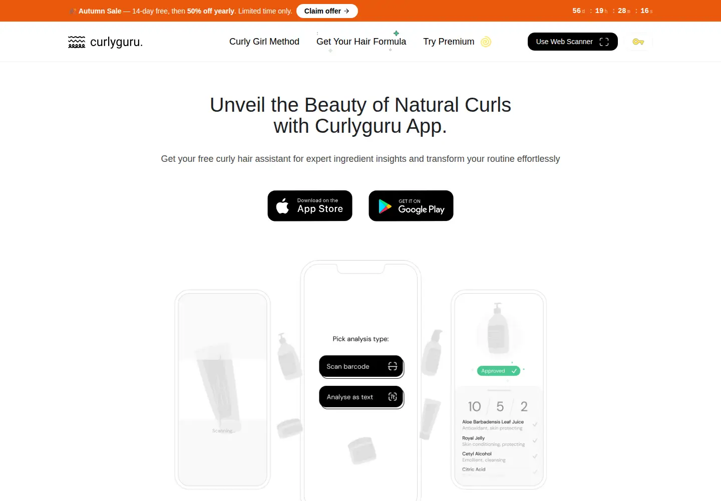 Captured homepage of curlyguru.com in the current scan
