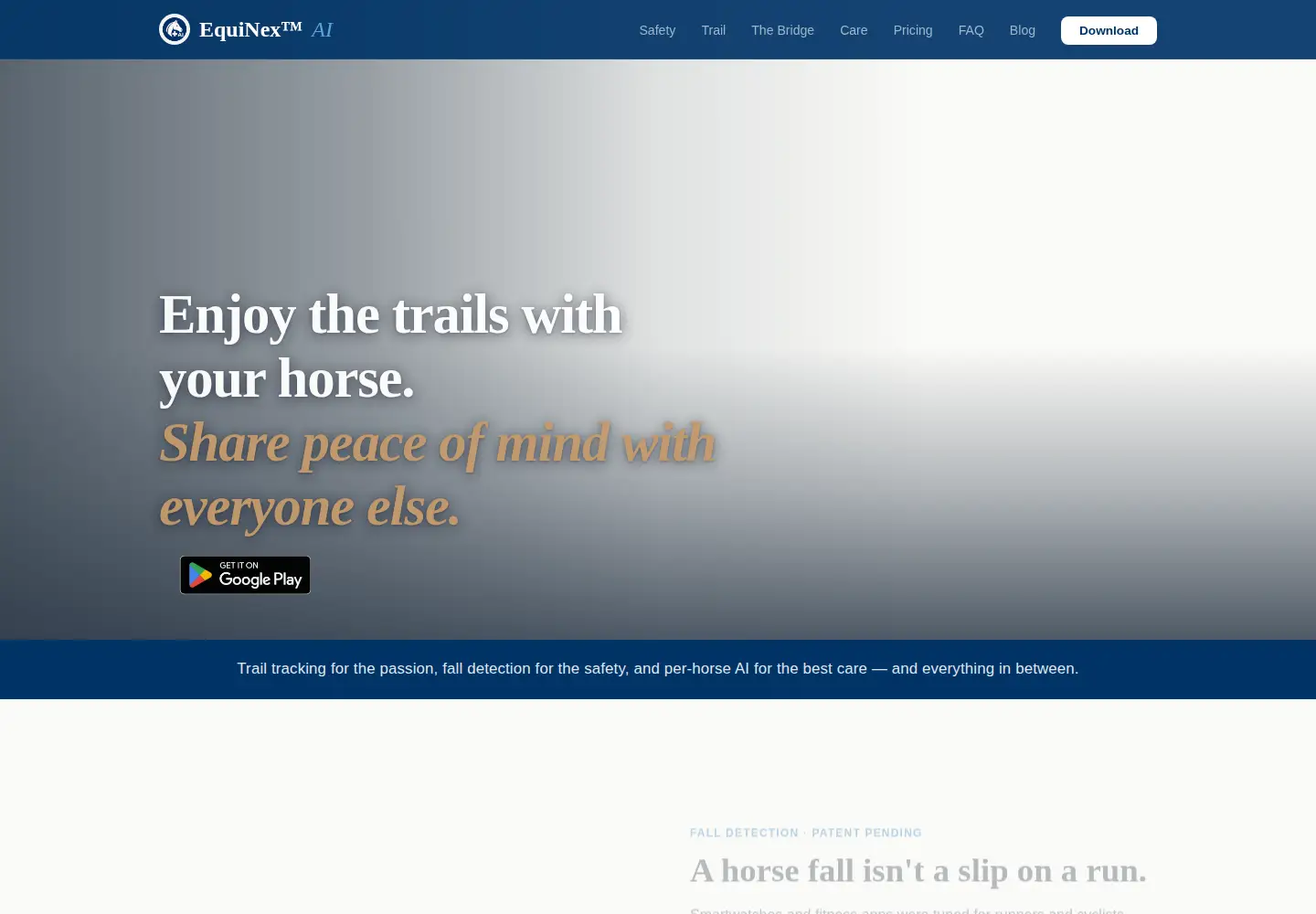 Captured homepage of equinexai.com in the current scan