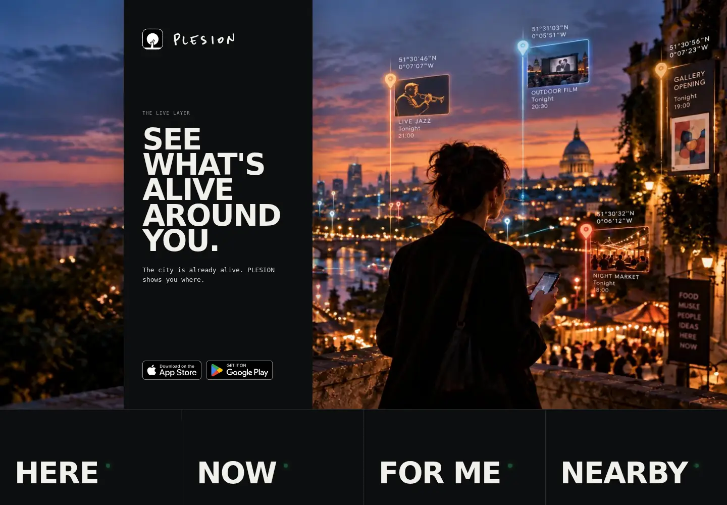 Captured homepage of plesion.com in the current scan