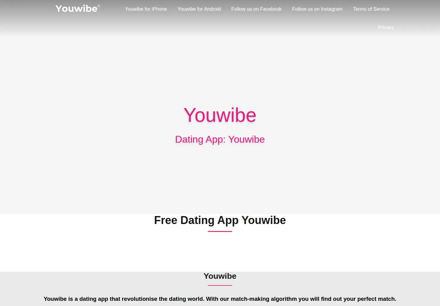 Captured homepage of youwibe.com in the current scan