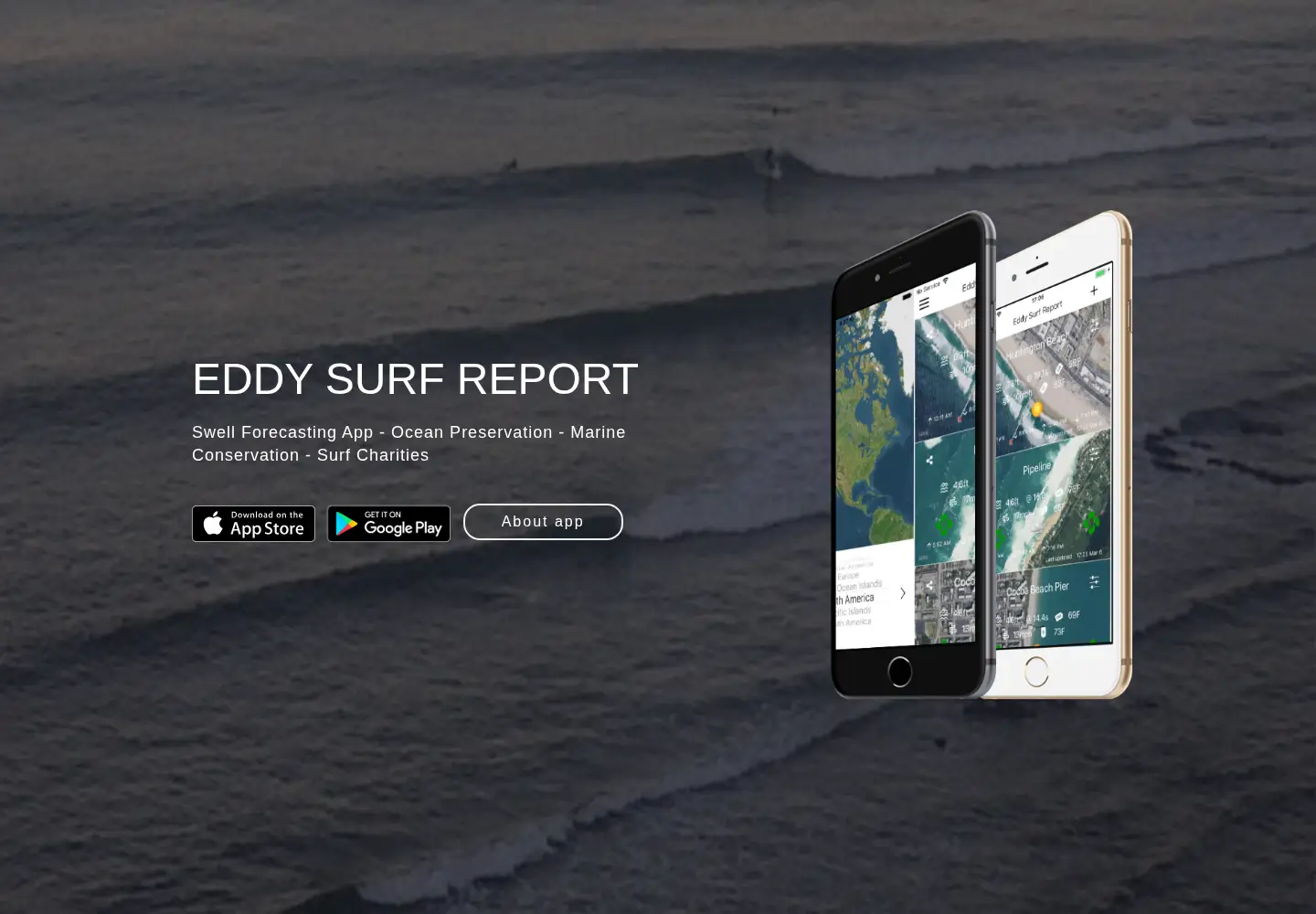 Captured homepage of eddy.surf in the current scan