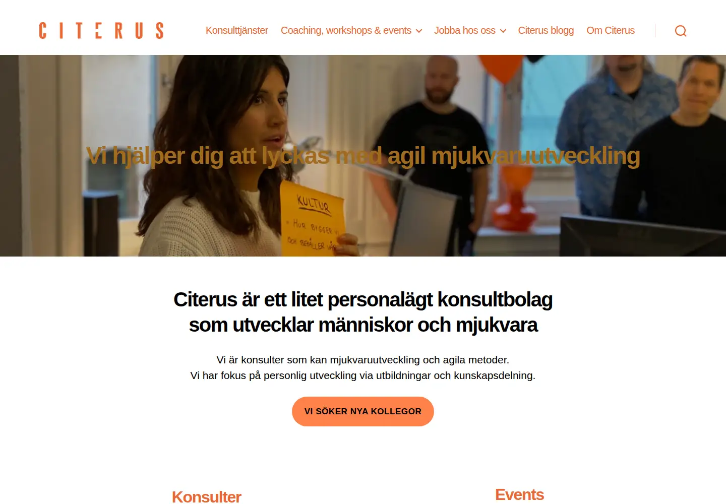 Captured homepage of citerus.se in the current scan
