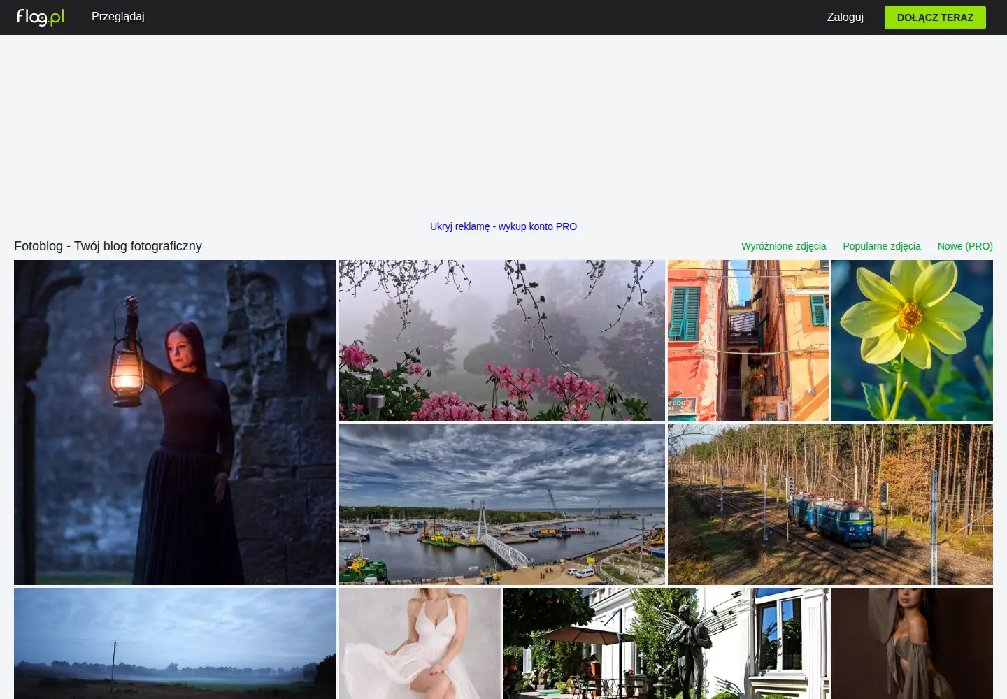 Screenshot of flog.pl