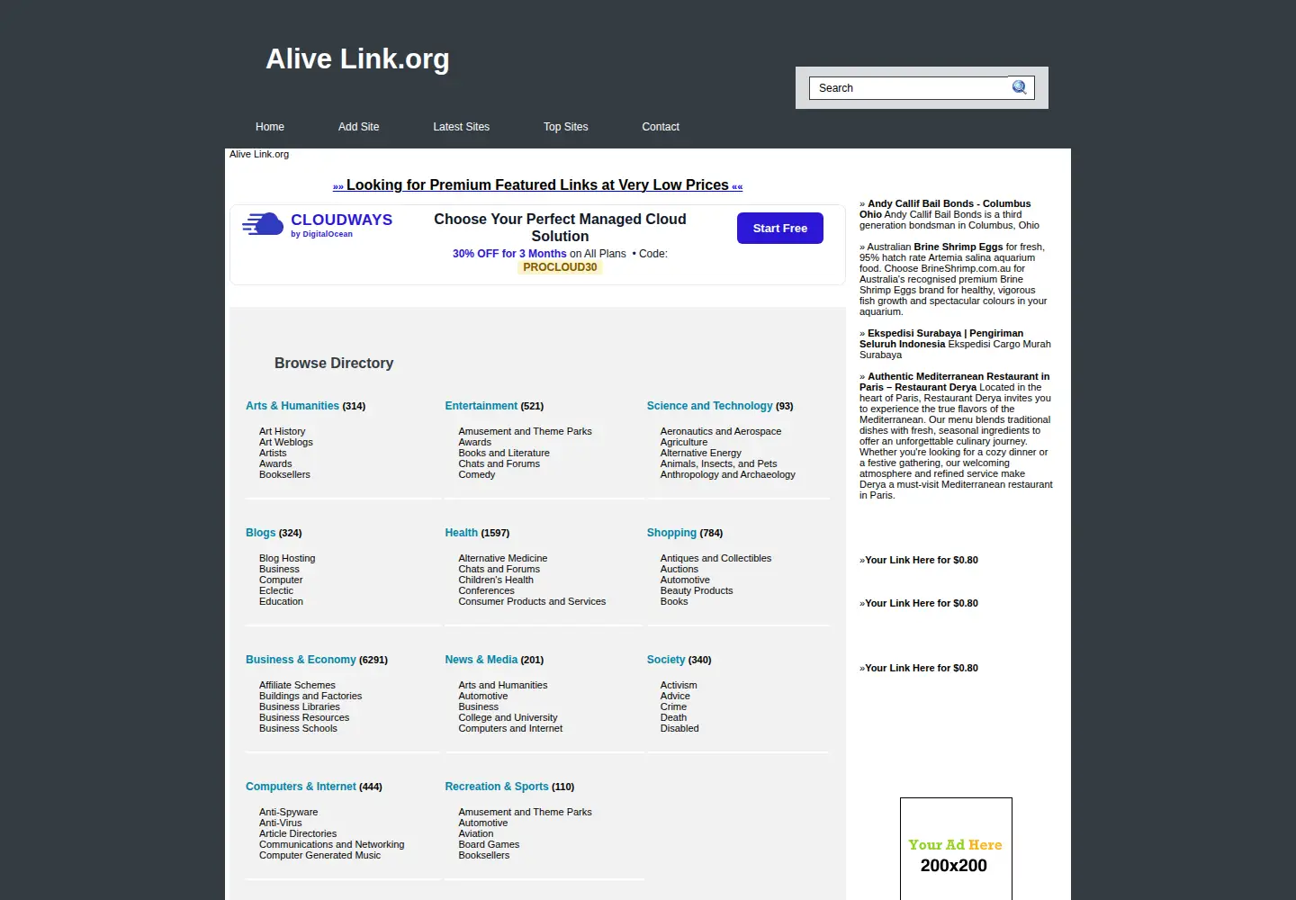 Captured homepage of alivelink.org in the current scan