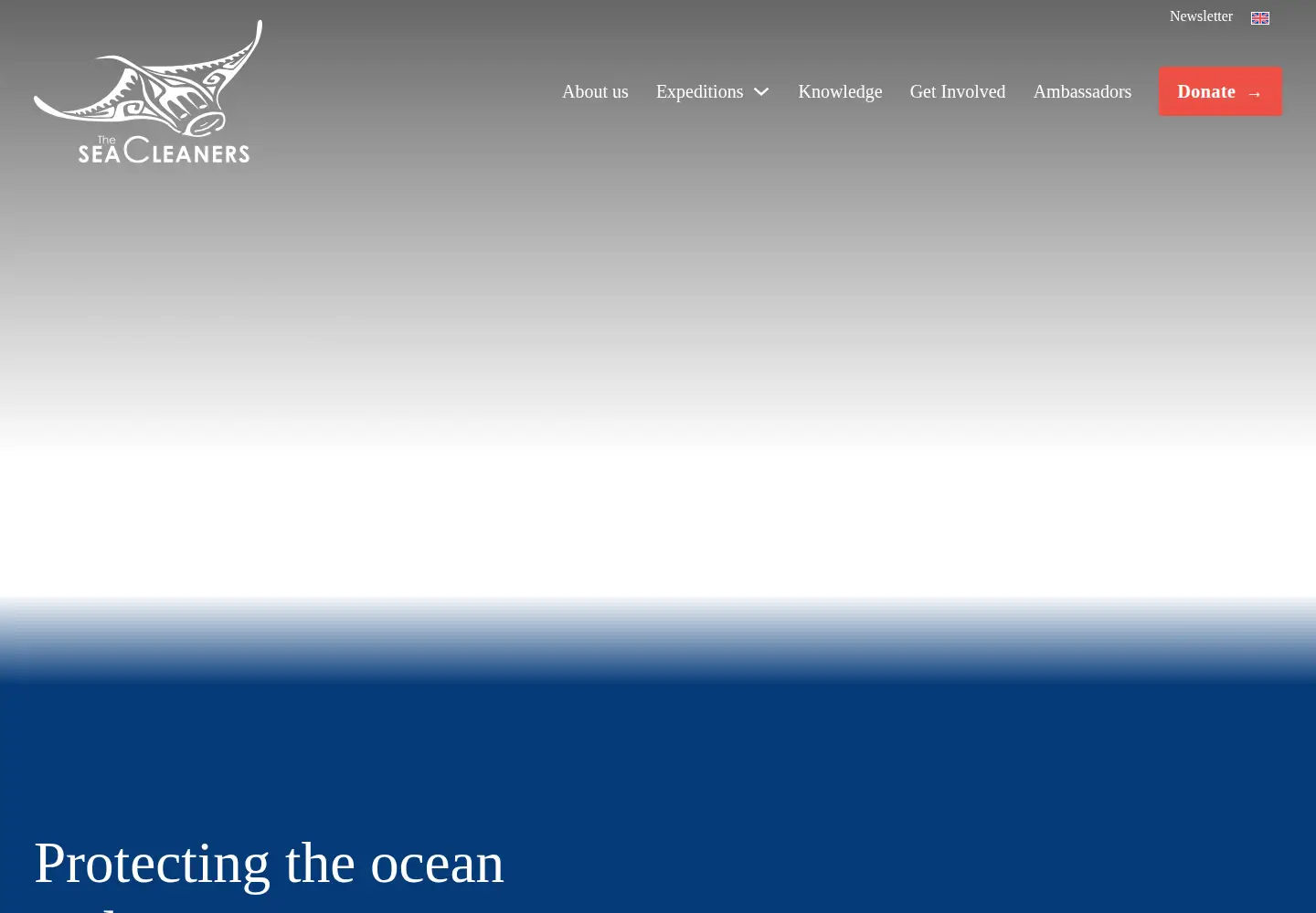 Captured homepage of theseacleaners.org in the current scan