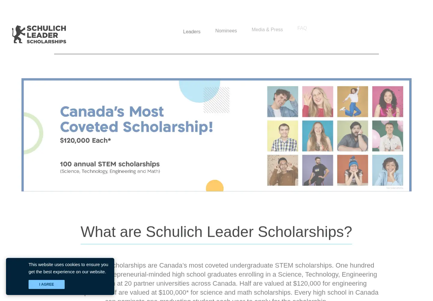 Screenshot of schulichleaders.com