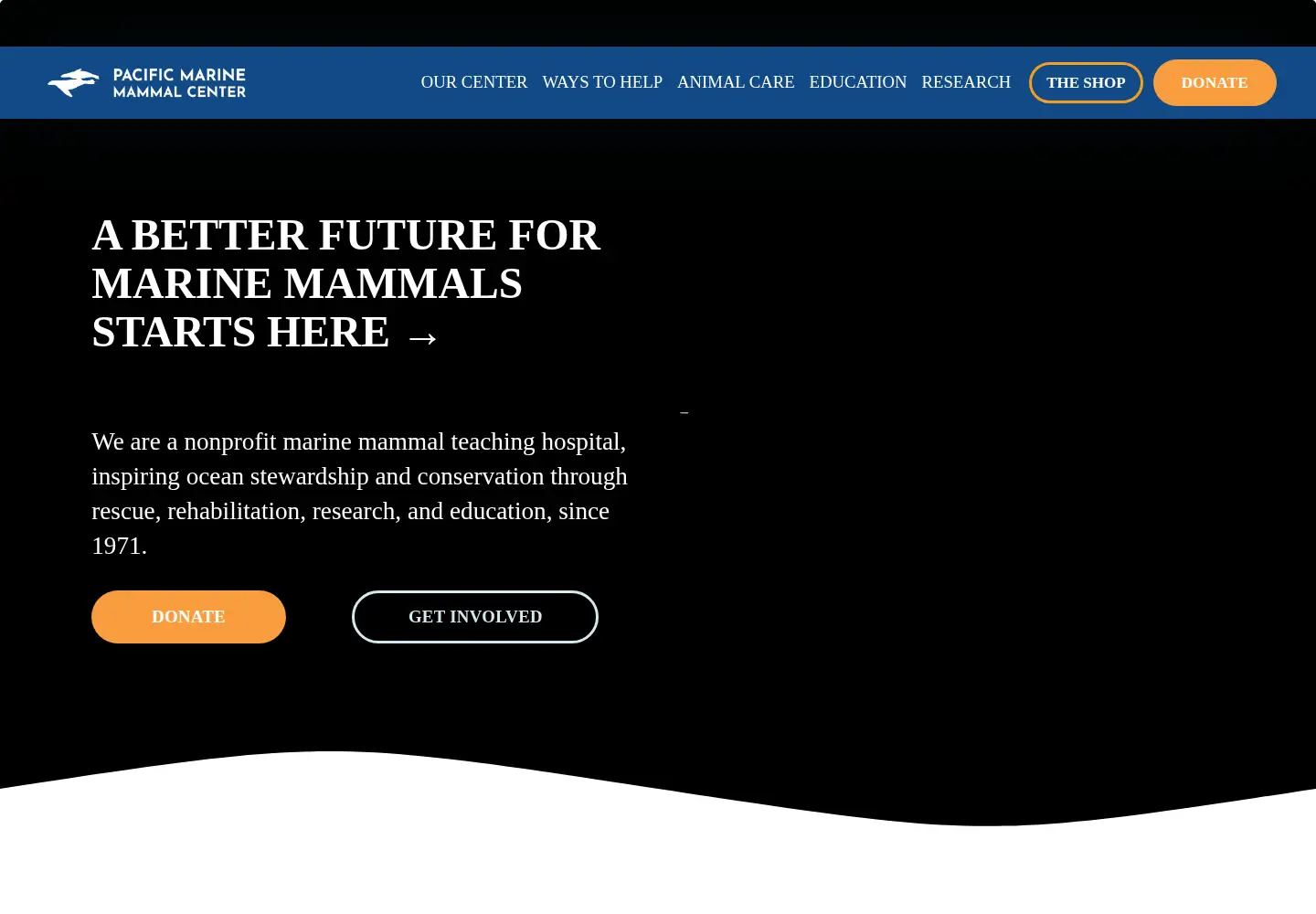 Captured homepage of pacificmmc.org in the current scan