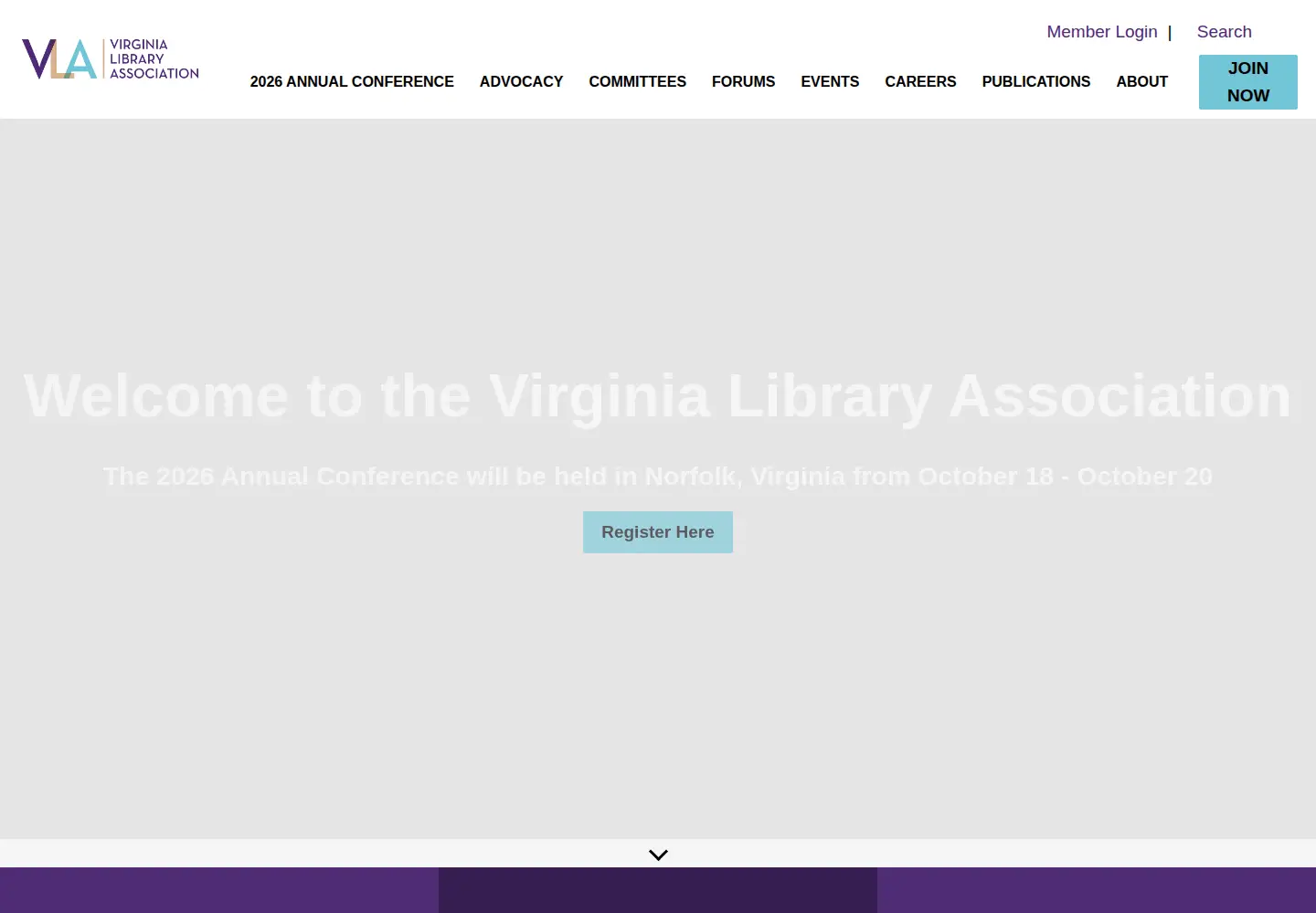 Captured homepage of vla.org in the current scan