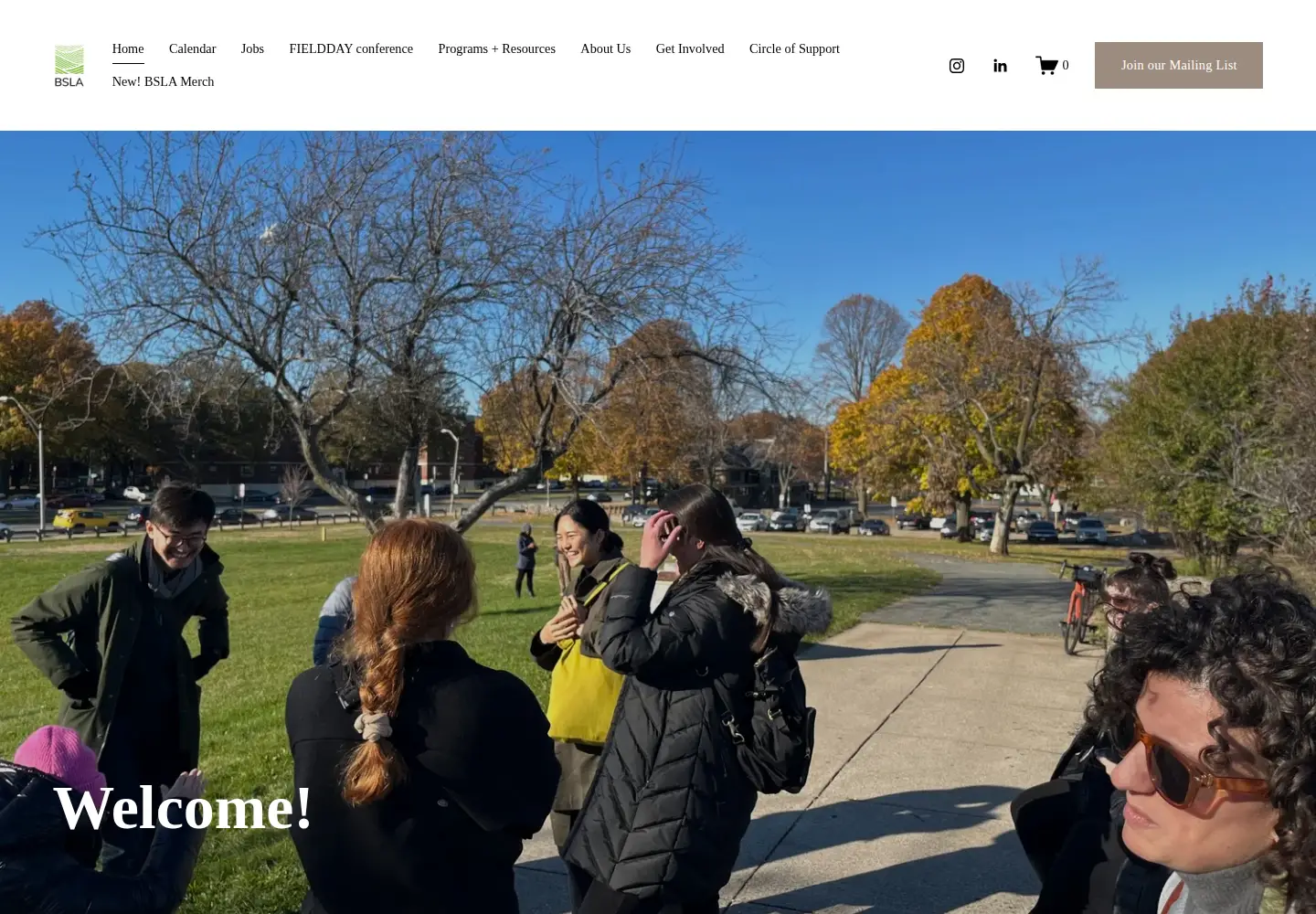 Captured homepage of bslanow.org in the current scan