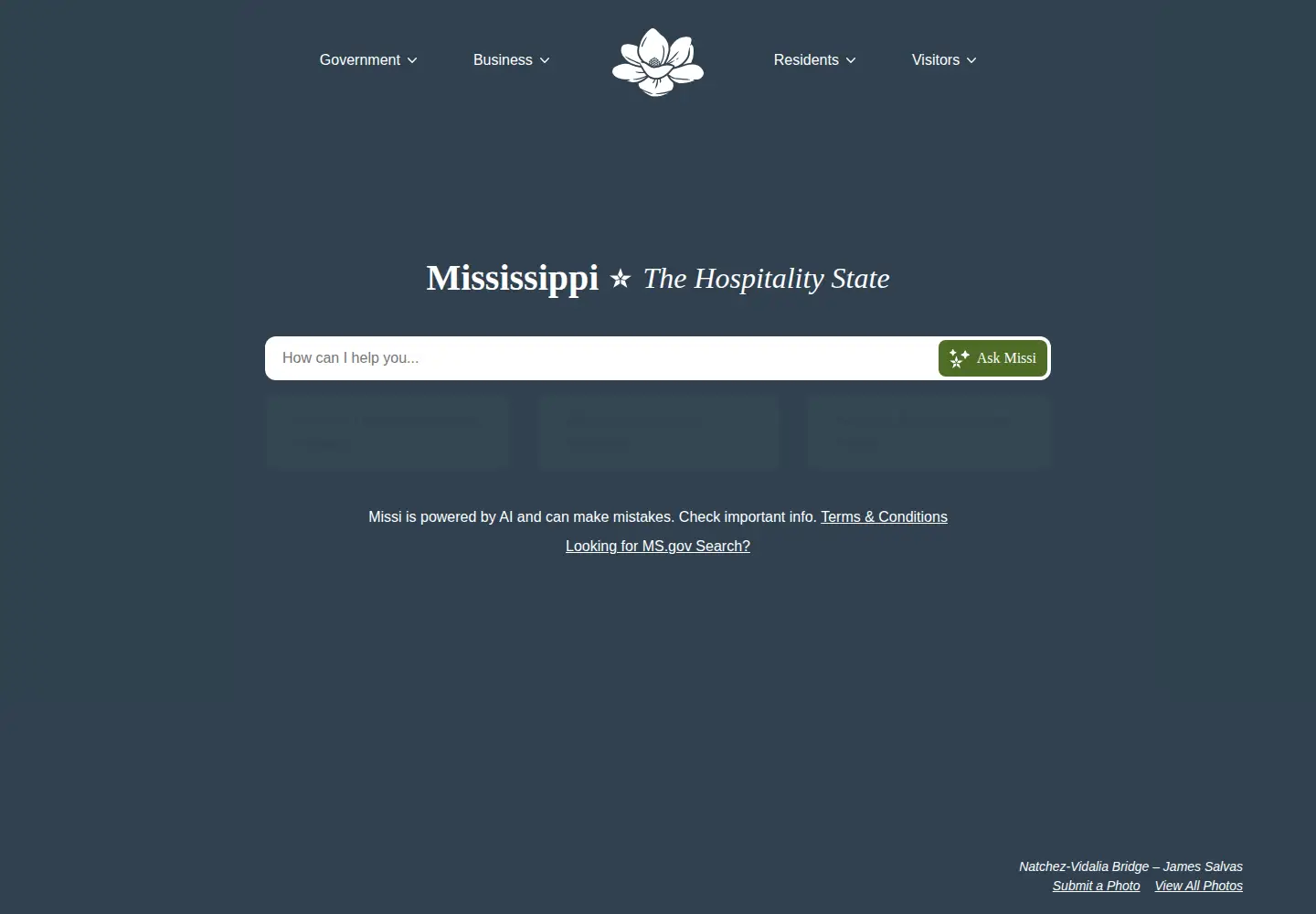 Screenshot of ms.gov