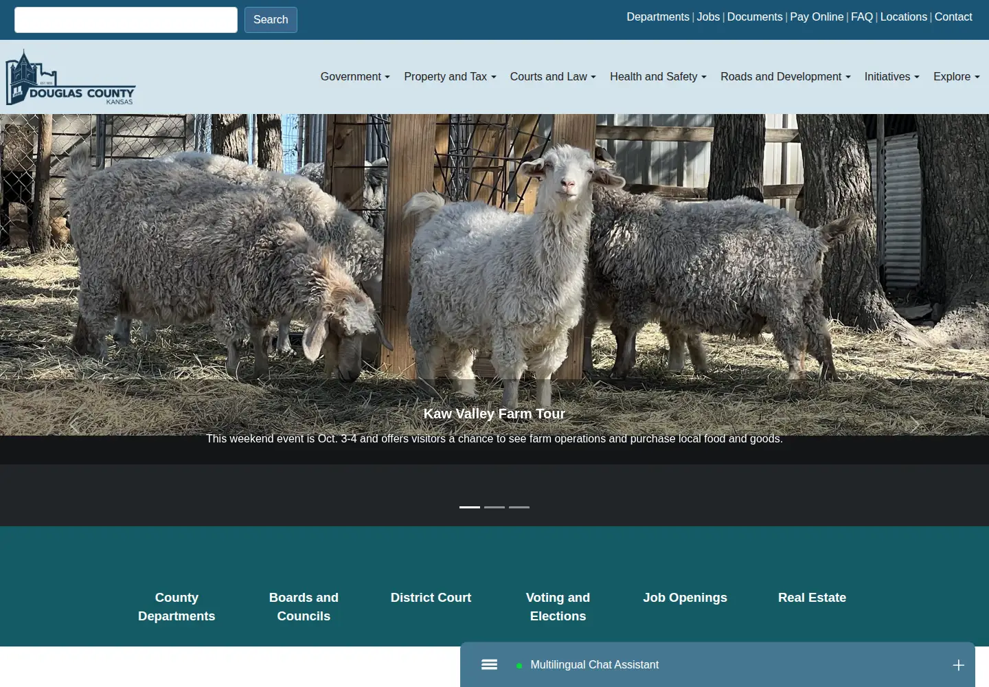 Captured homepage of dgcoks.gov in the current scan