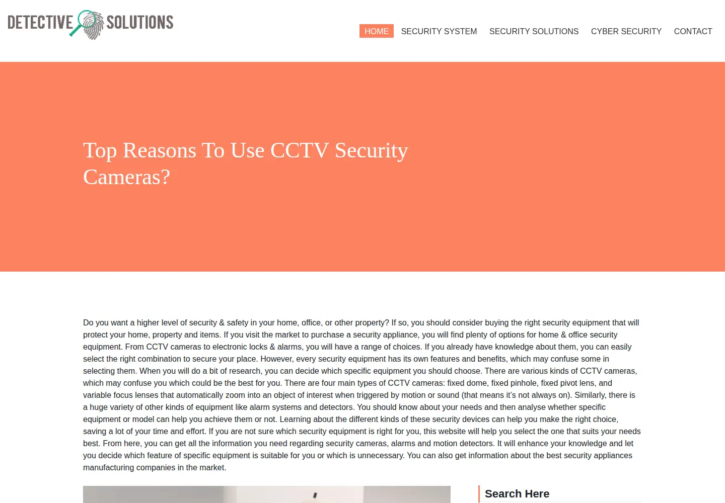 Screenshot of detective-solutions.com