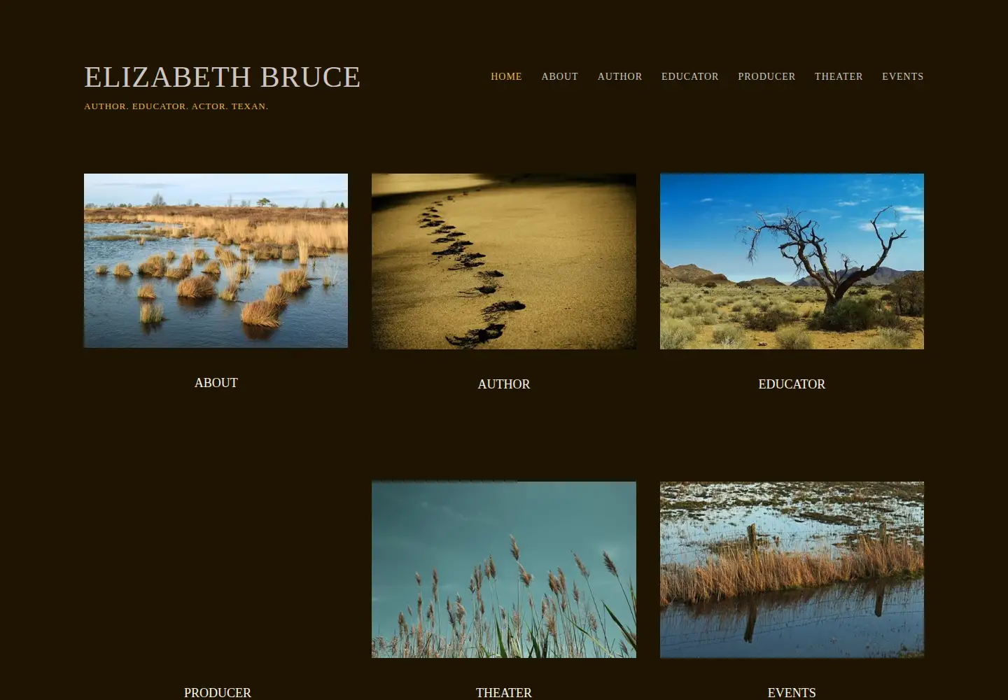 Screenshot of elizabethbrucedc.com