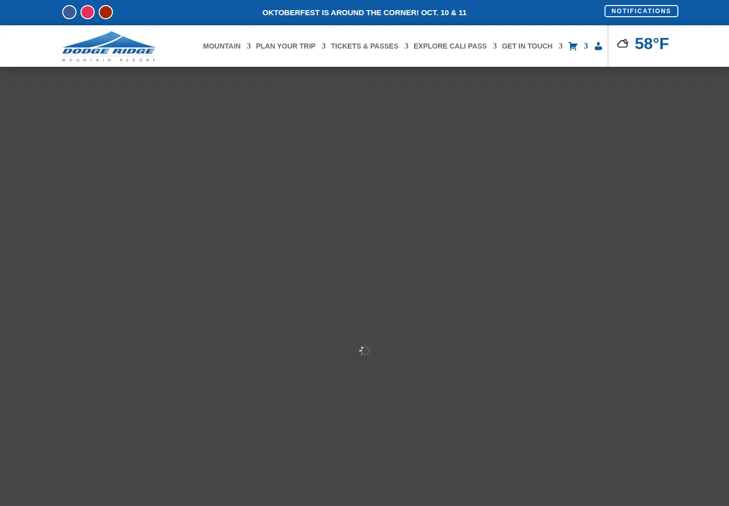 Captured homepage of dodgeridge.com in the current scan