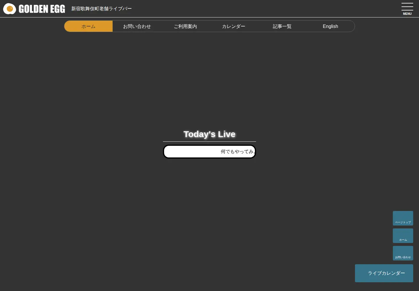 Captured homepage of g-egg.info in the current scan