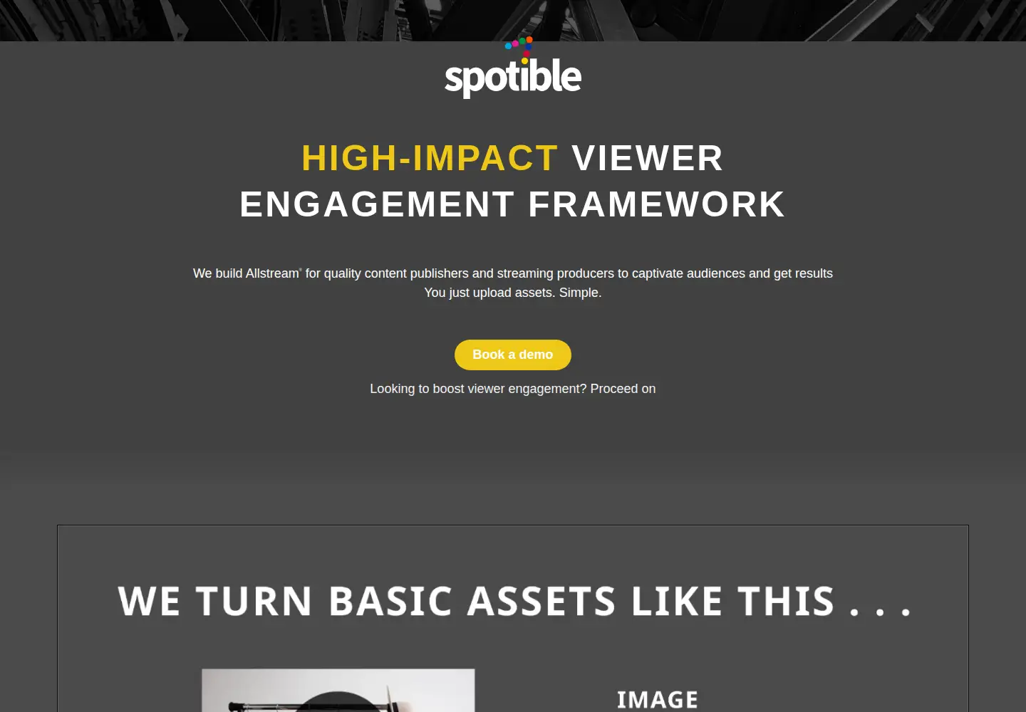 Captured homepage of spotible.com in the current scan