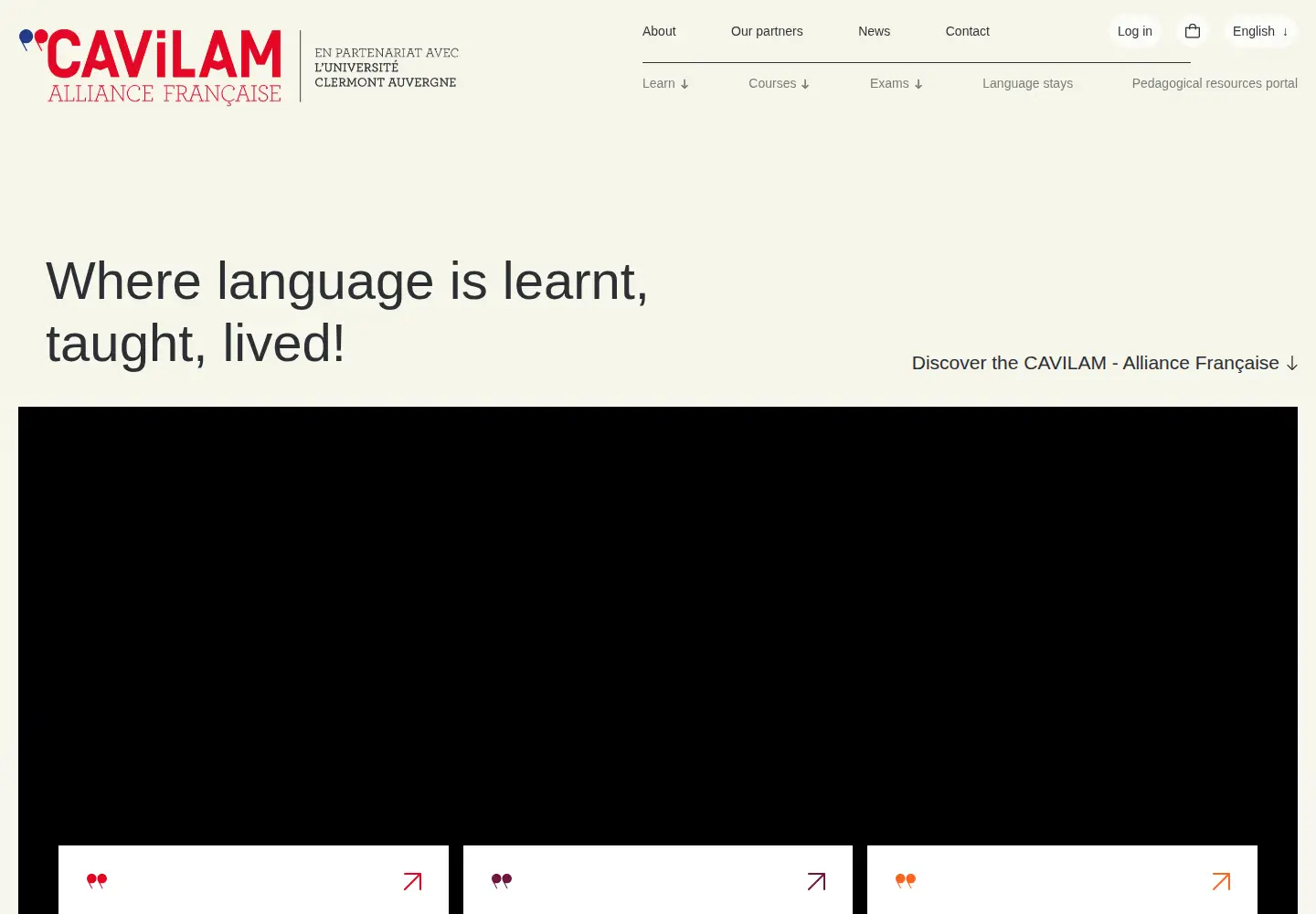 Captured homepage of cavilam.com in the current scan