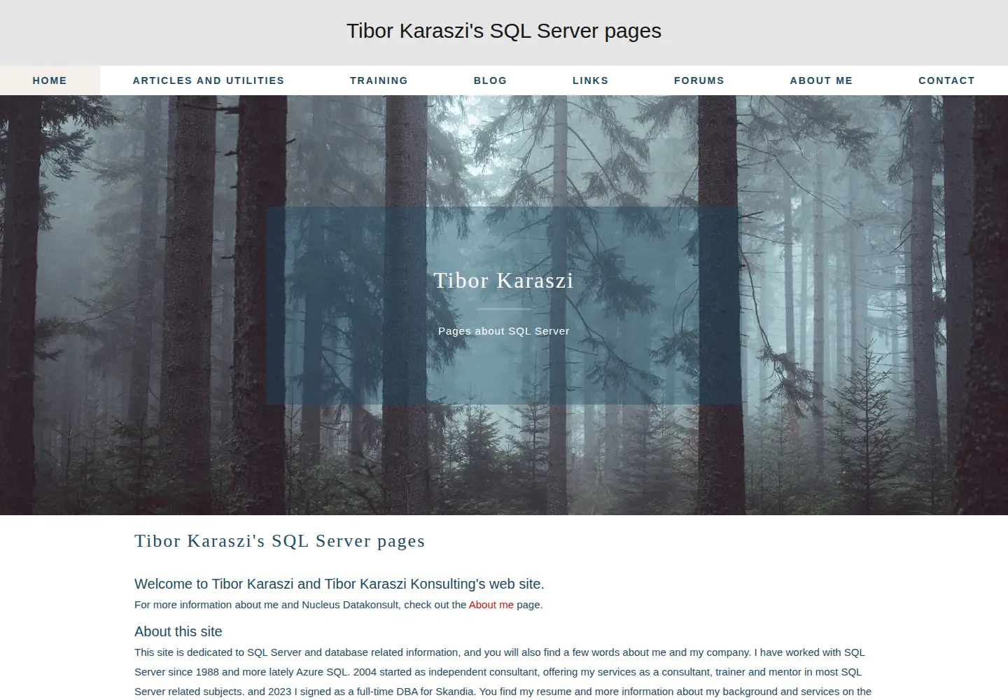 Screenshot of karaszi.com