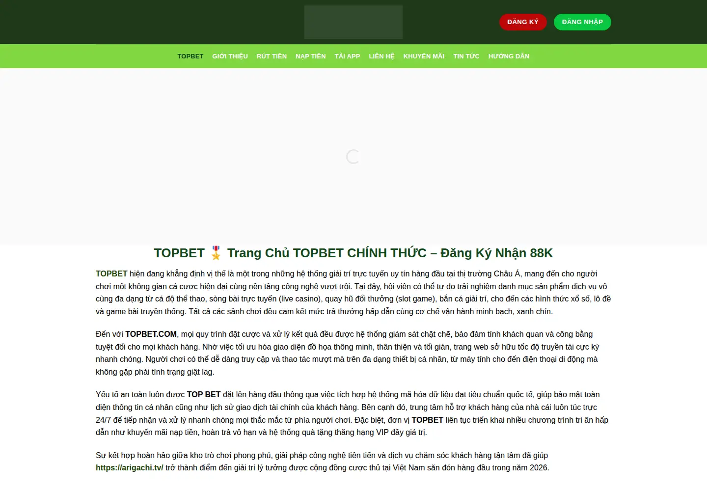 Captured homepage of topbet.bid in the current scan
