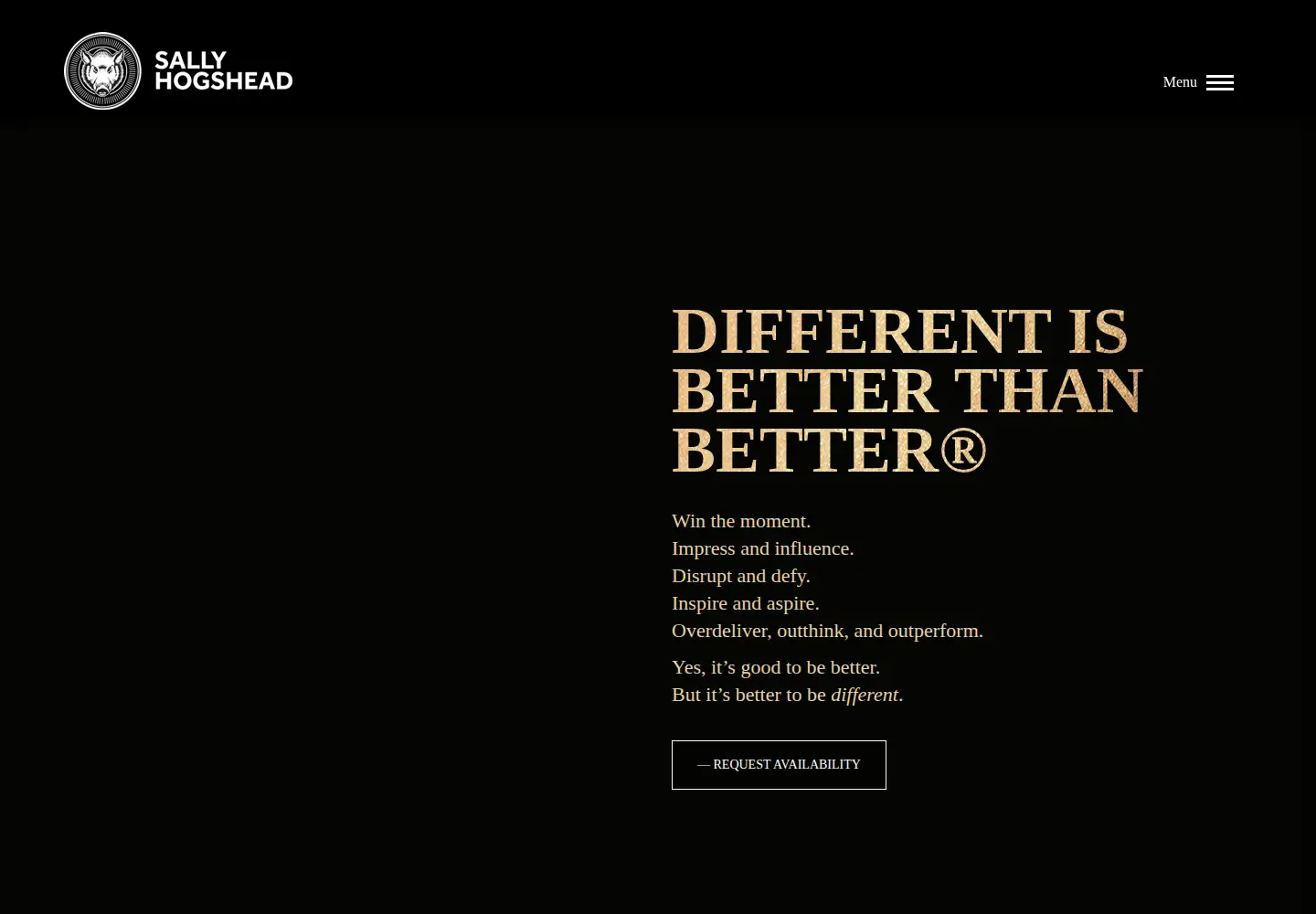 Captured homepage of sallyhogshead.com in the current scan