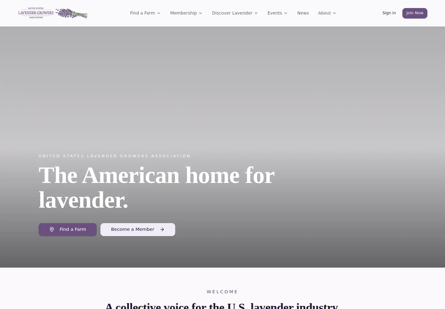 Captured homepage of uslavender.org in the current scan