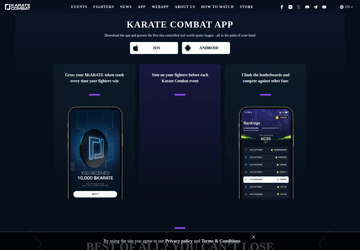 Screenshot of karate.com