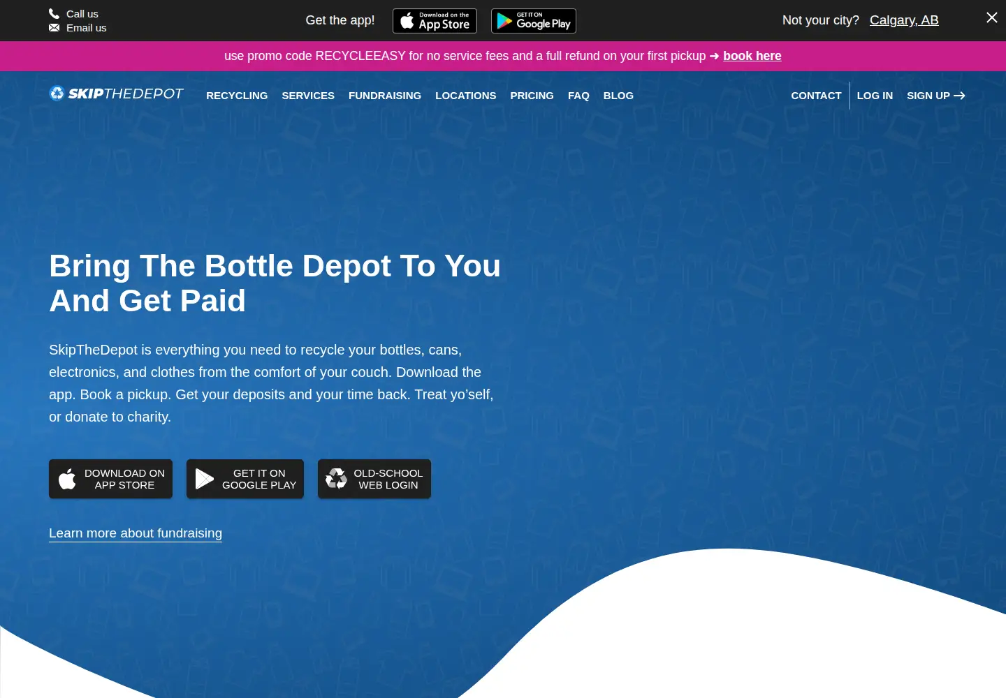 Screenshot of skipthedepot.com