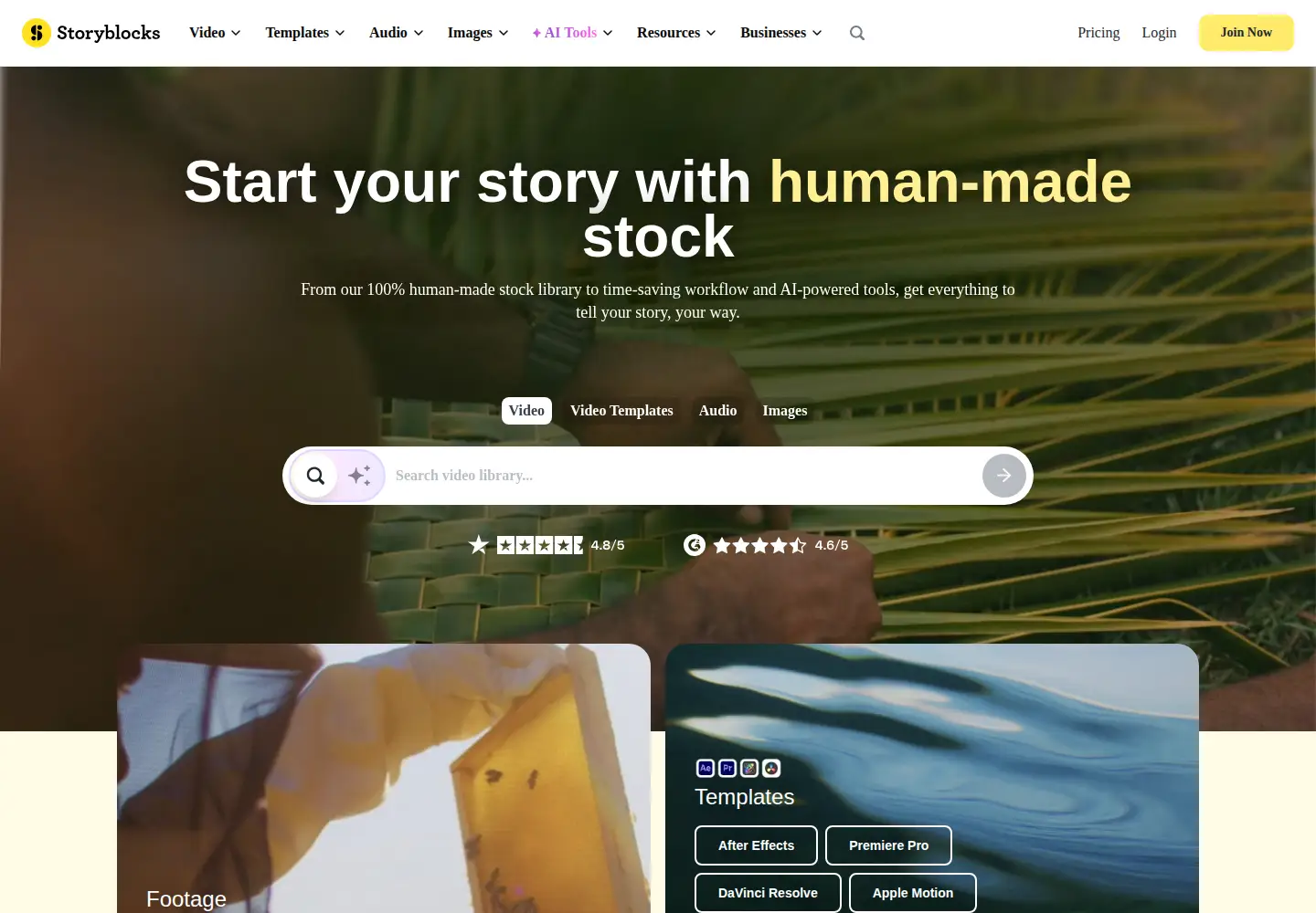 Screenshot of storyblocks.com