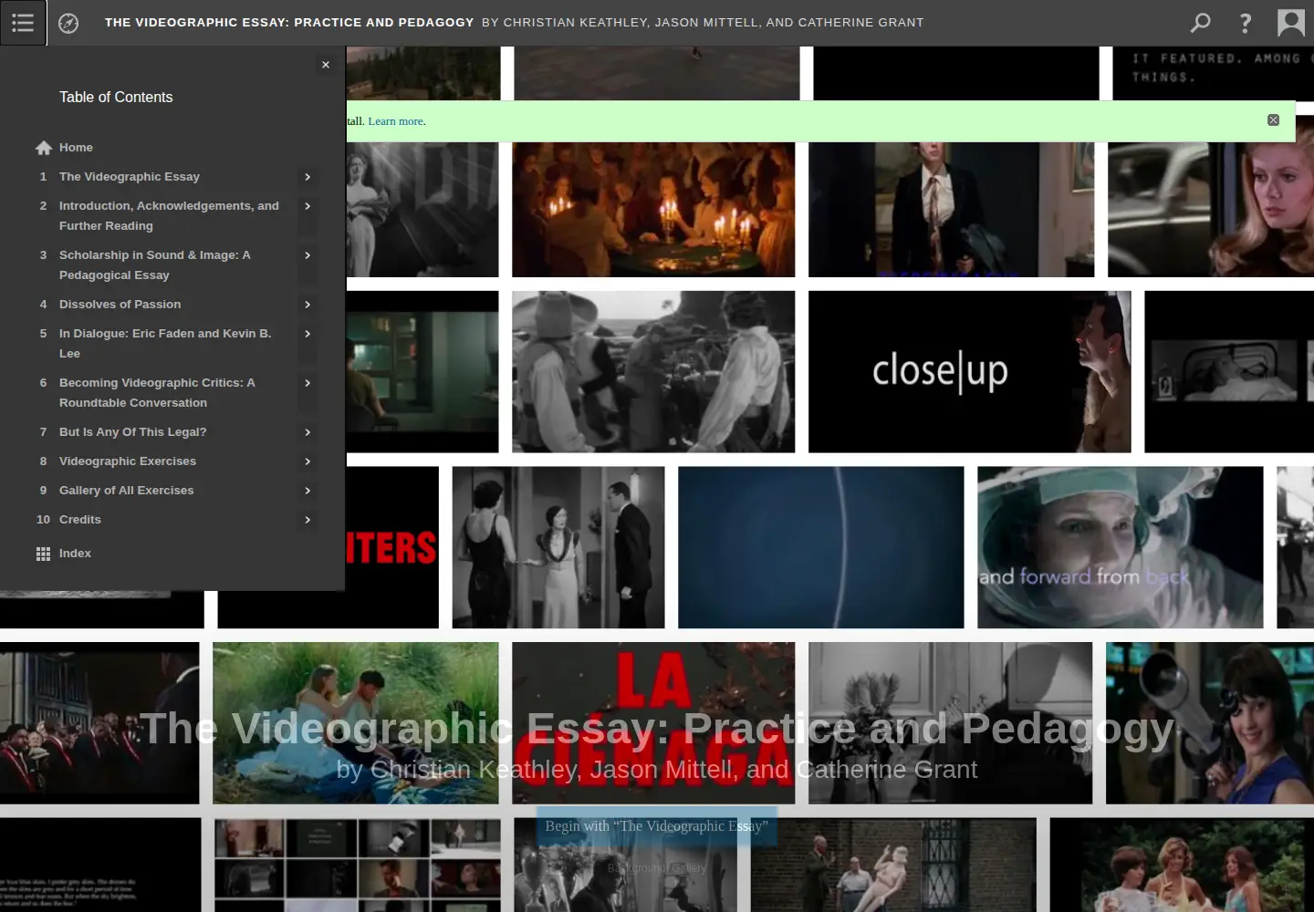 Screenshot of videographicessay.org