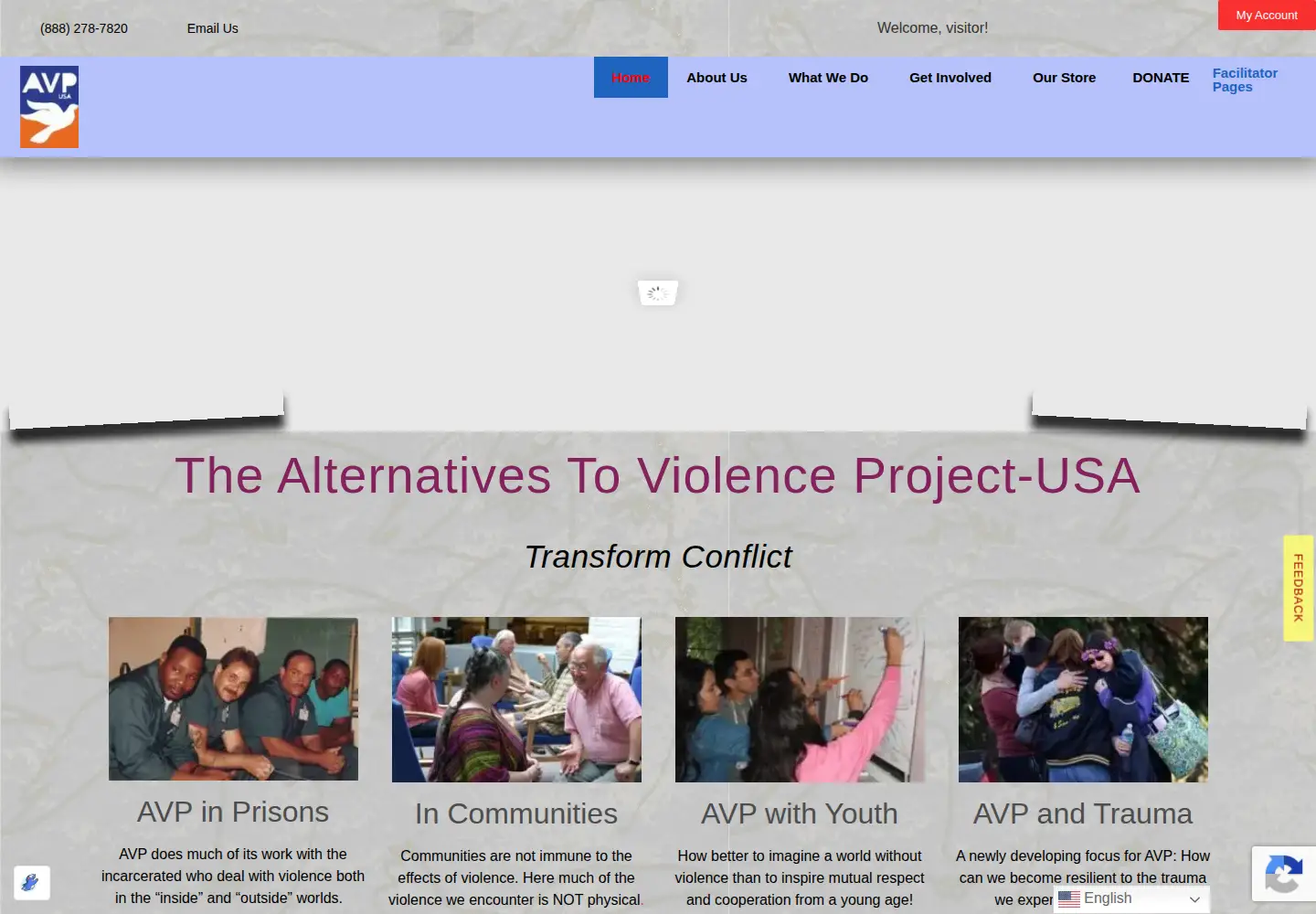 Captured homepage of avpusa.org in the current scan