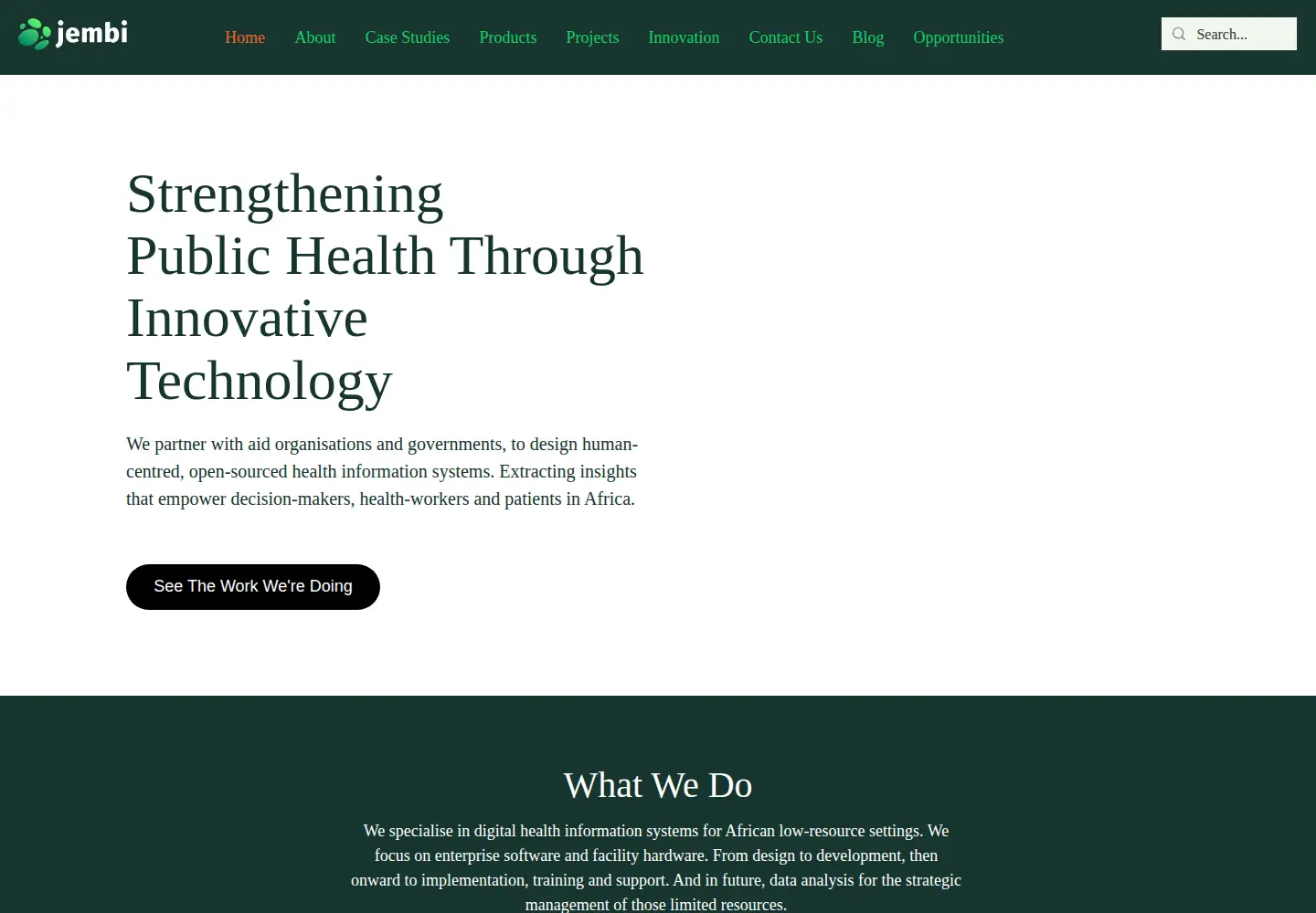 Captured homepage of jembi.org in the current scan