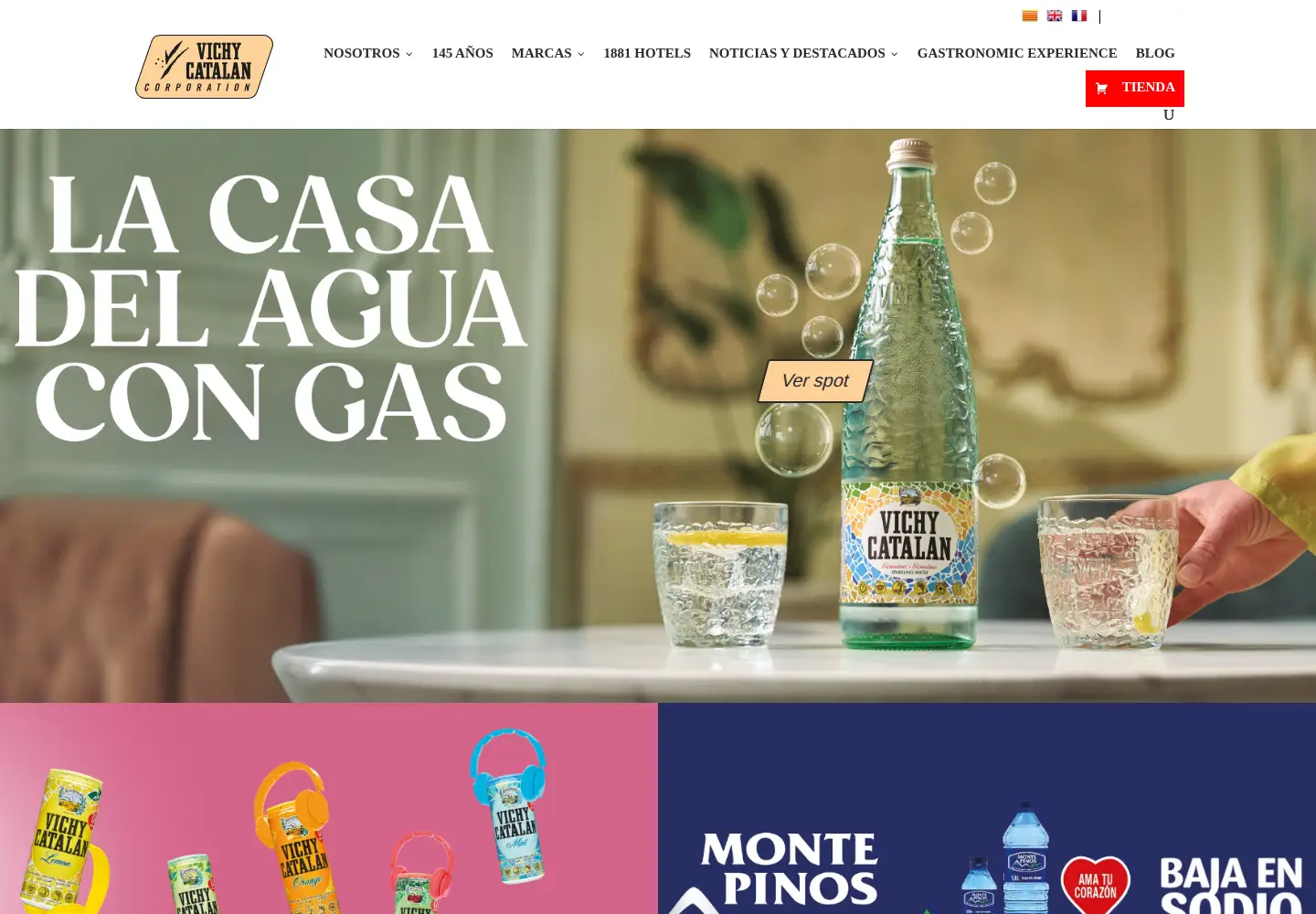Screenshot of vichycatalan.com