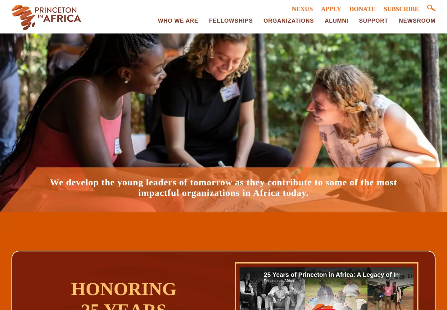 Captured homepage of princetoninafrica.org in the current scan