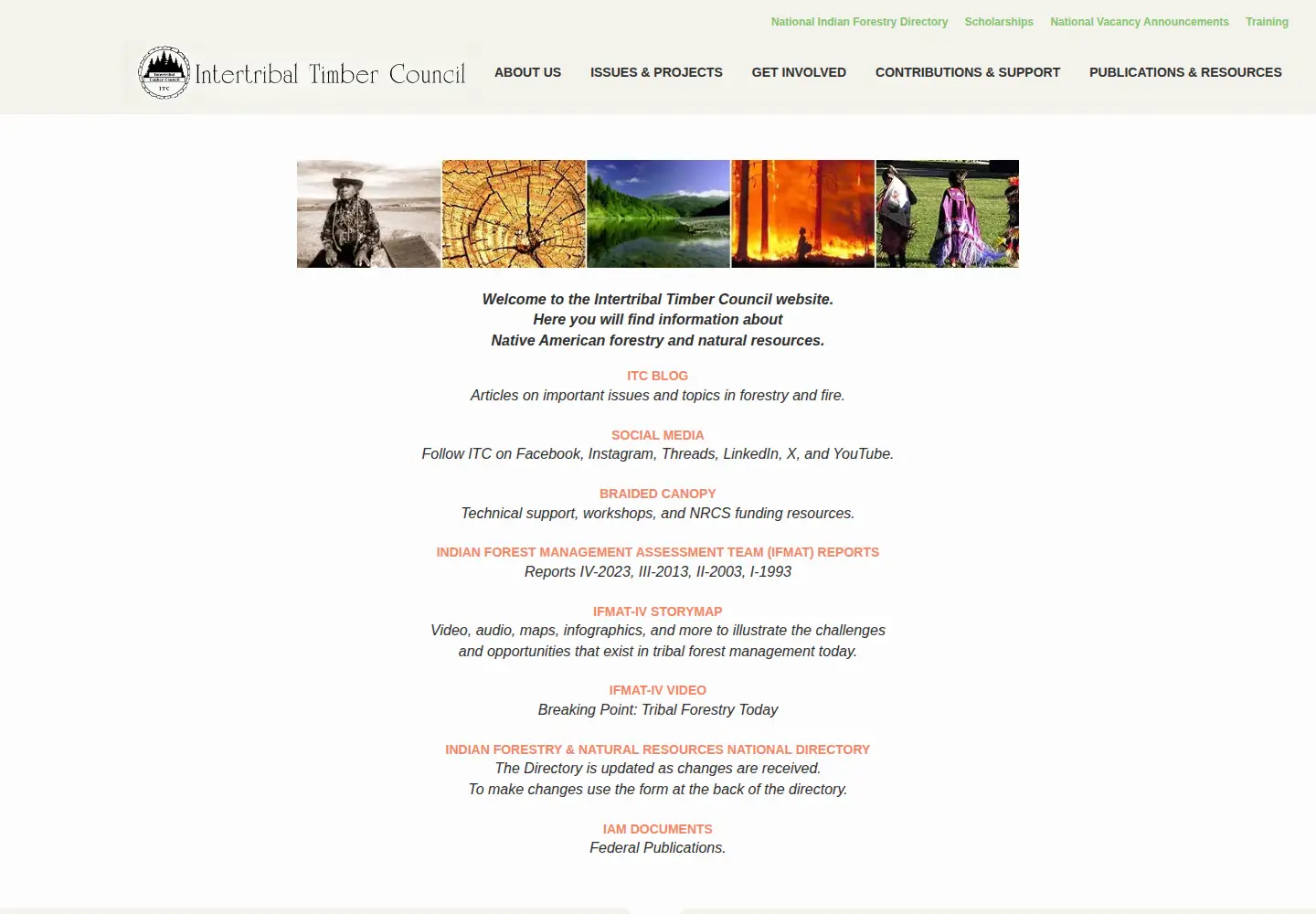 Captured homepage of itcnet.org in the current scan