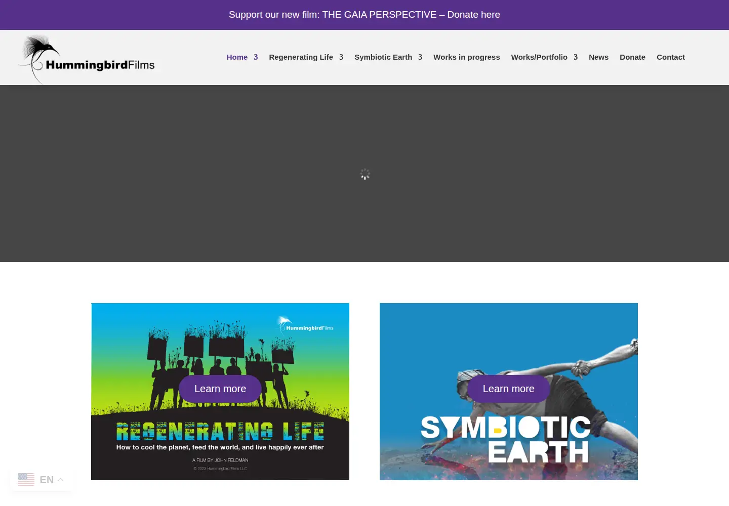 Screenshot of hummingbirdfilms.com