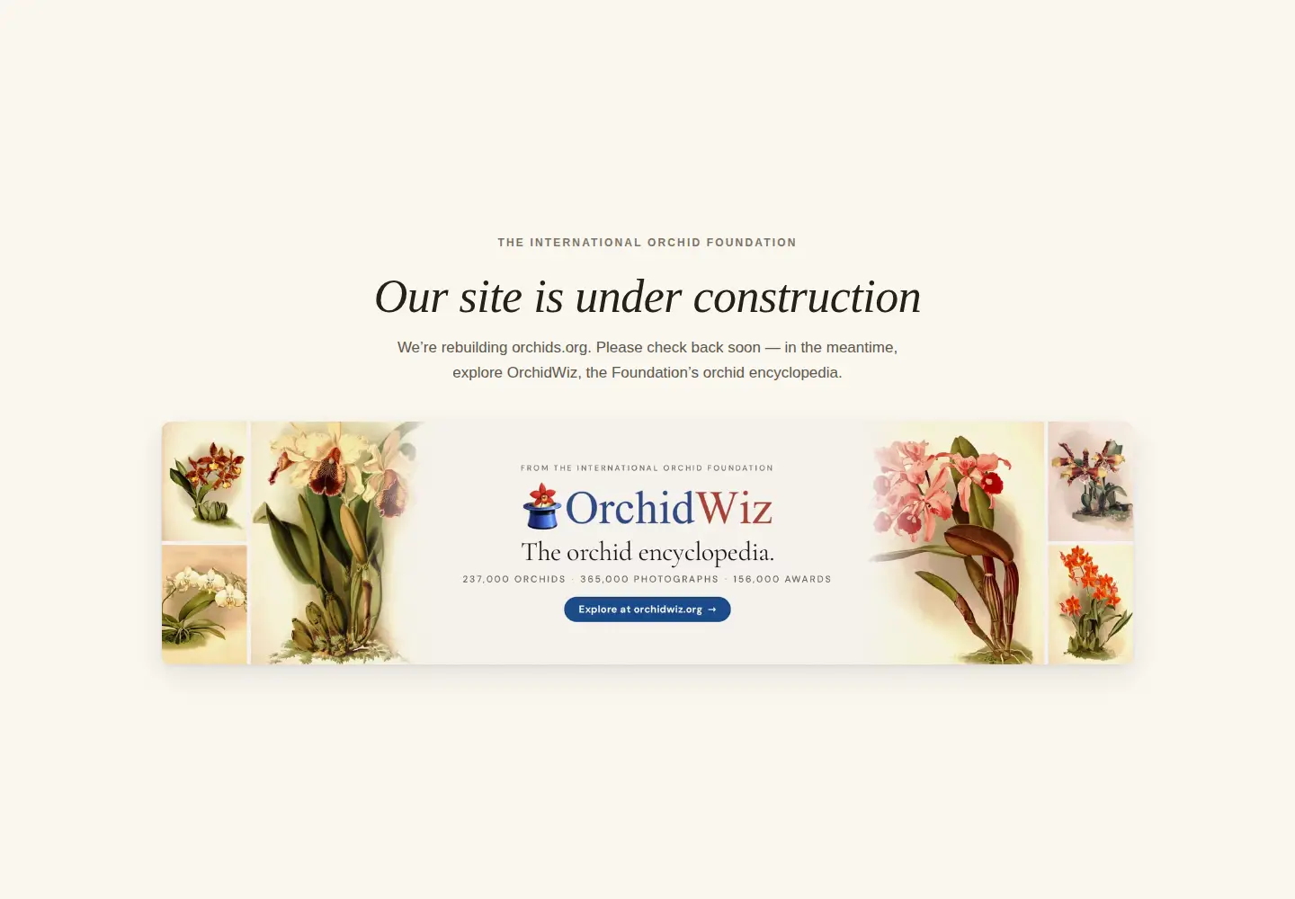 Captured homepage of orchids.org in the current scan