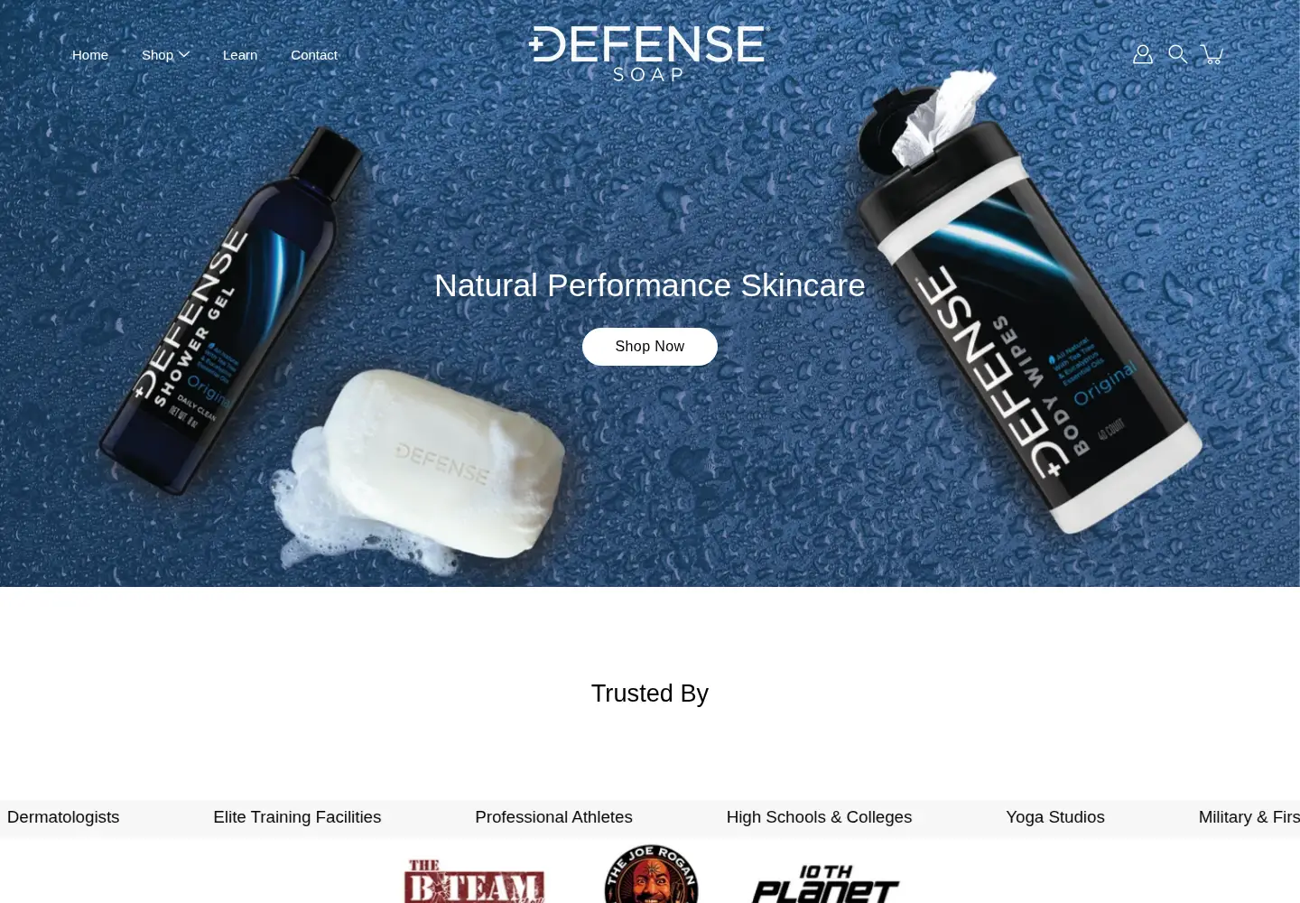Captured homepage of defensesoap.com in the current scan