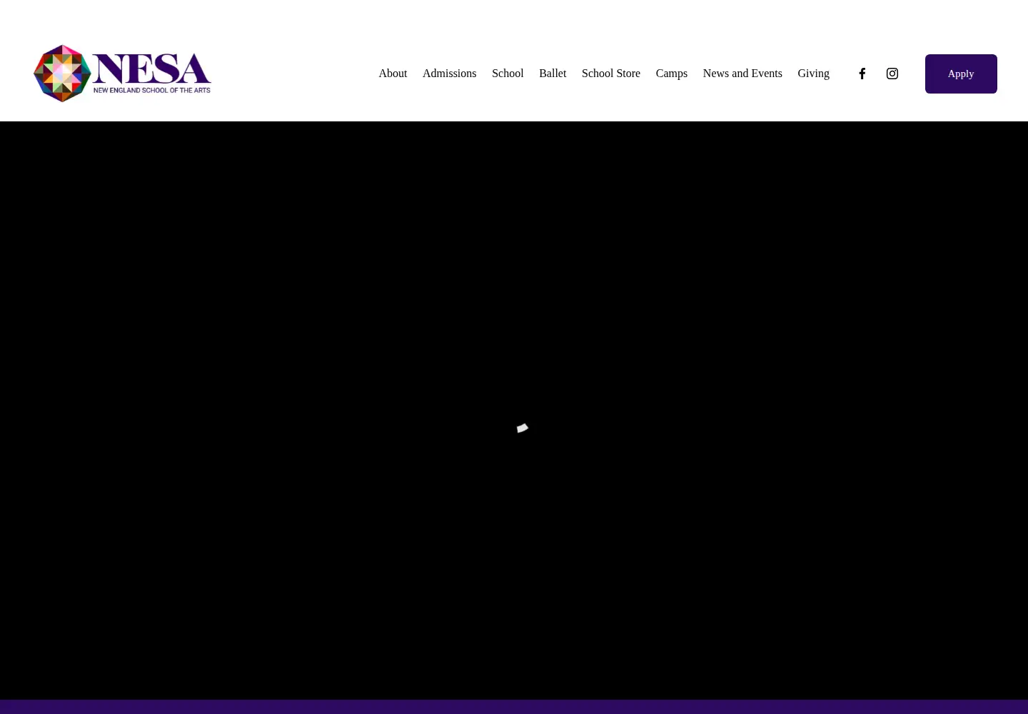 Screenshot of nesarts.org