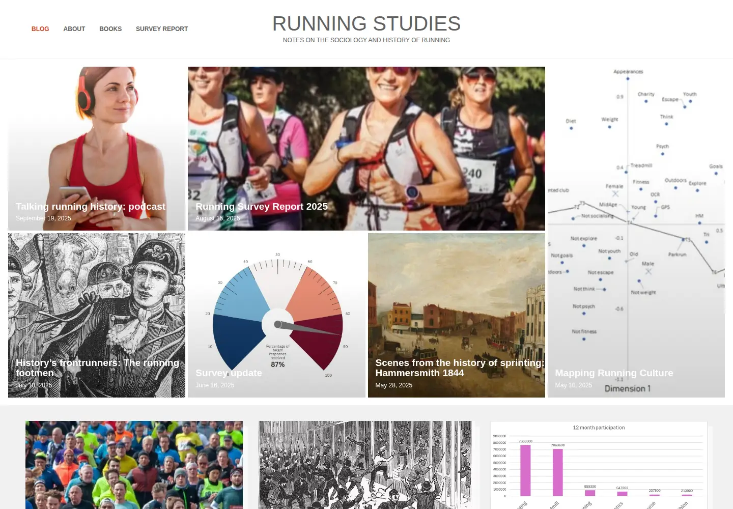 Screenshot of runningstudies.co.uk