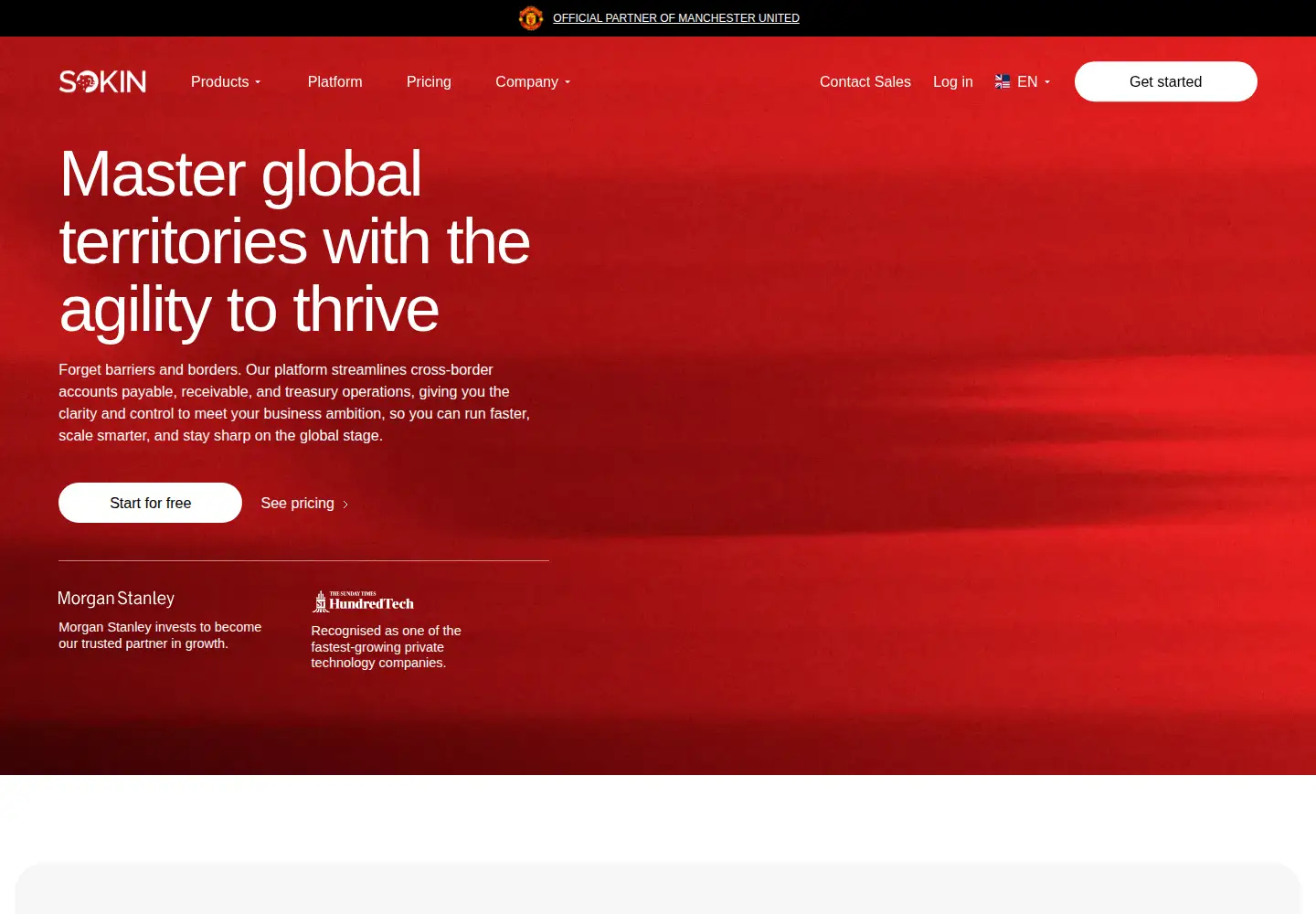 Captured homepage of sokin.com in the current scan
