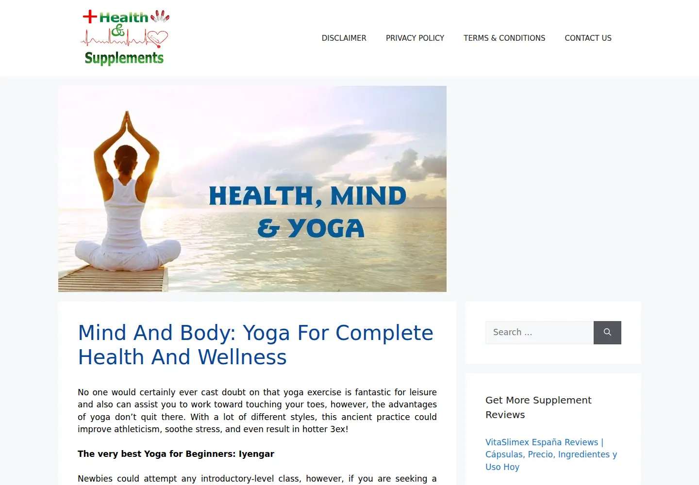 Captured homepage of healthnsupplements.com in the current scan