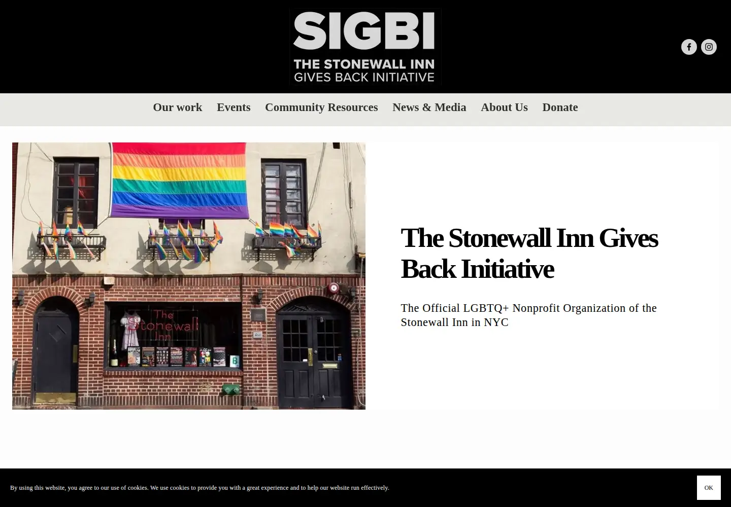 Captured homepage of stonewallinitiative.org in the current scan