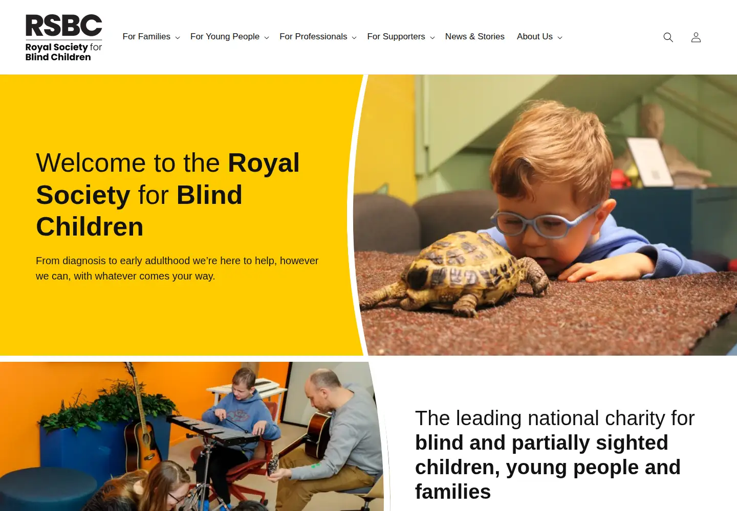 Screenshot of rsbc.org.uk