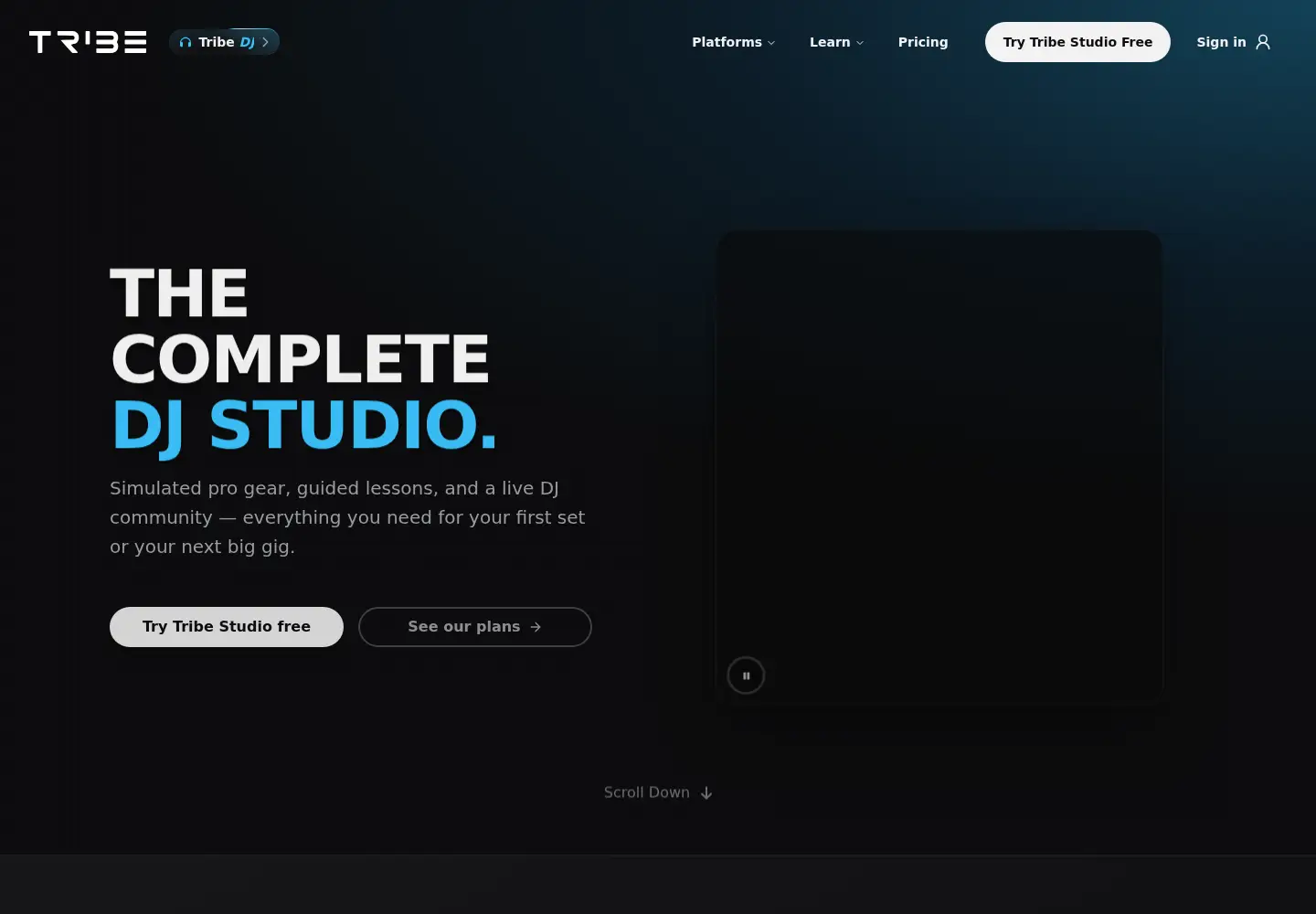 Captured homepage of tribexr.com in the current scan