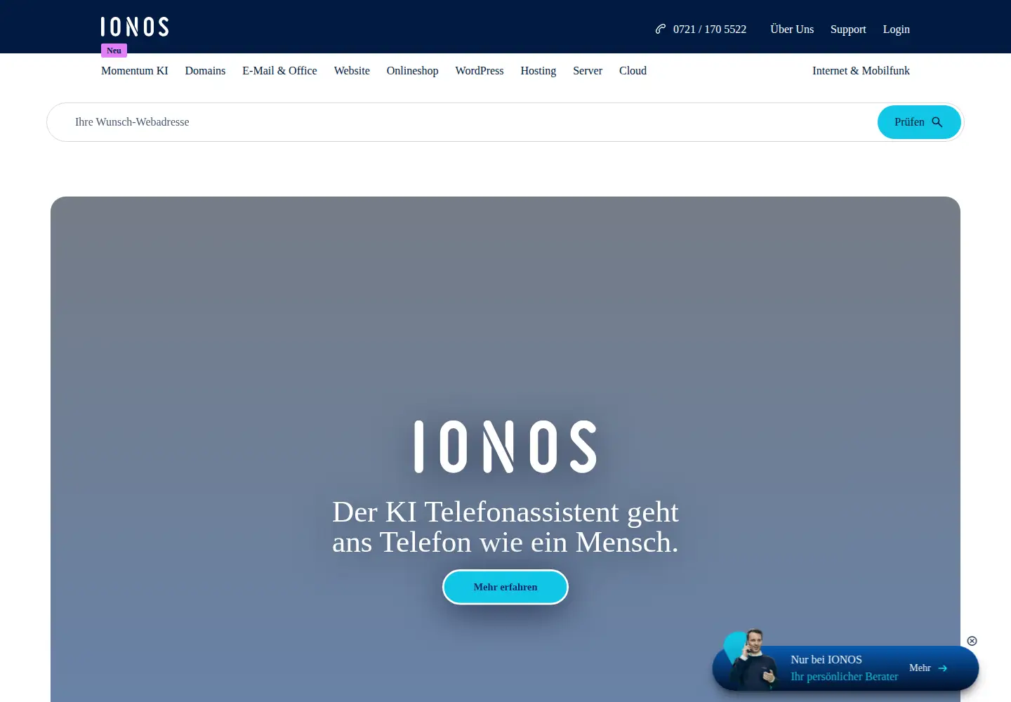 Captured homepage of schlund.de in the current scan