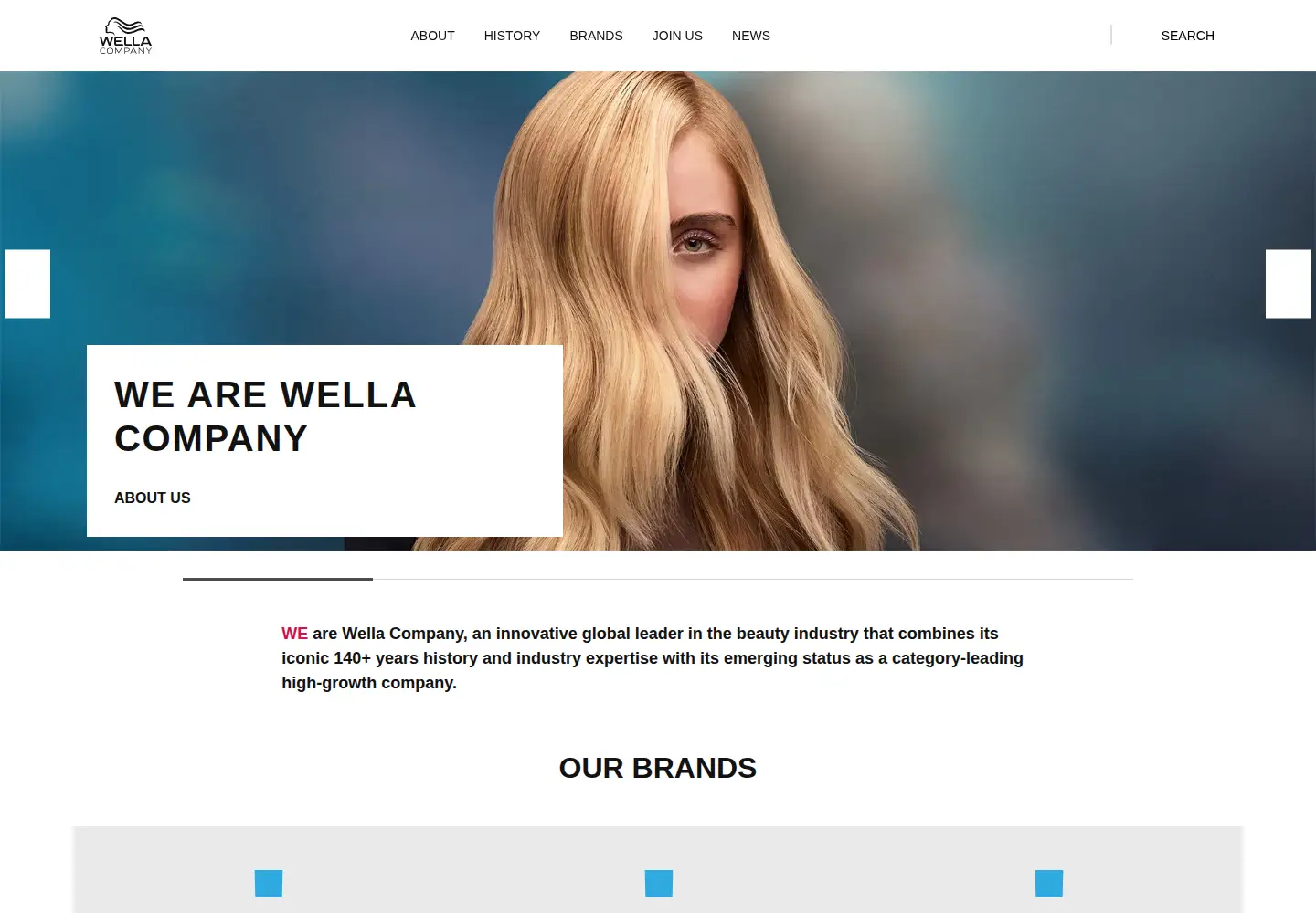 Captured homepage of wellacompany.com in the current scan
