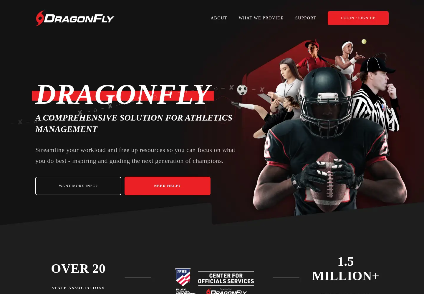 Screenshot of dragonflymax.com