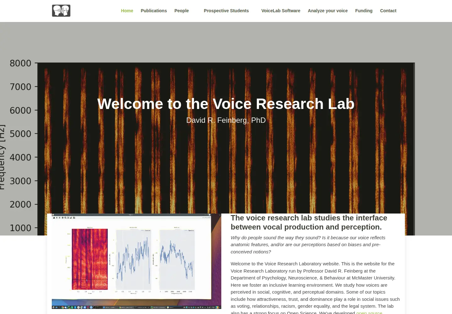 Screenshot of voiceresearch.org