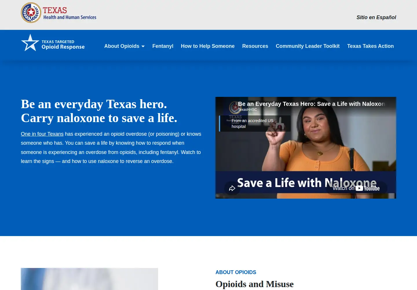 Captured homepage of txopioidresponse.org in the current scan